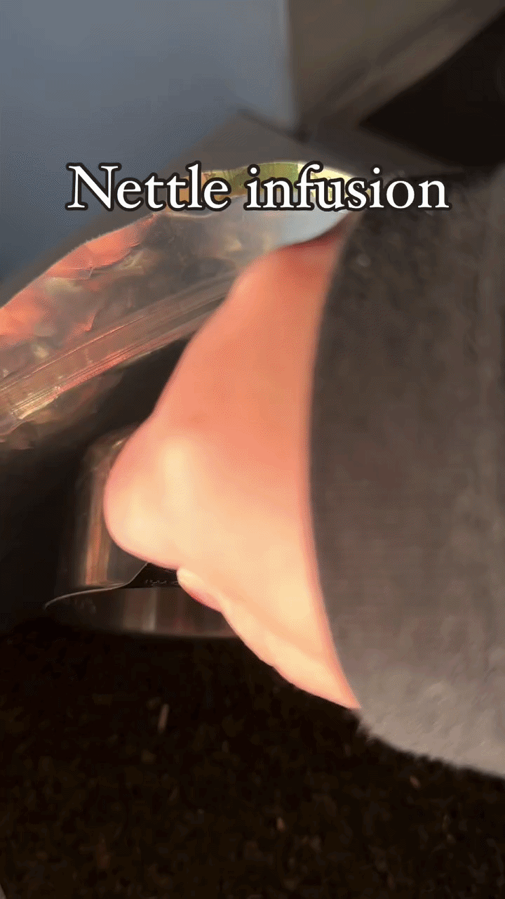 A hand pouring hot water into a glass jar filled with dried stinging nettle, with video text overlay reading "Nettle infusion".