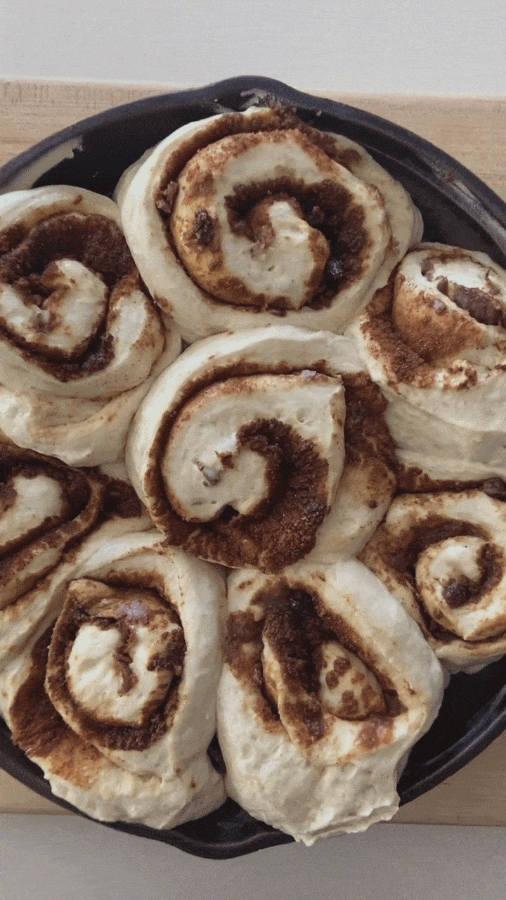 Unbaked sourdough cinnamon rolls spiraled with cinnamon sugar filling, arranged in a dark round baking pan.