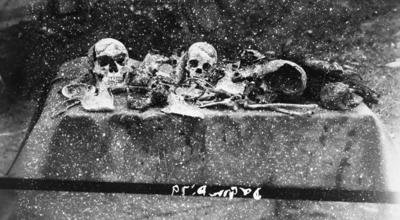 The bones of Swift Runner's family