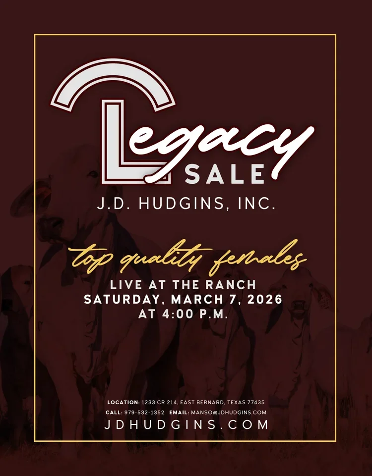 JD Hudgins Cattle Auction