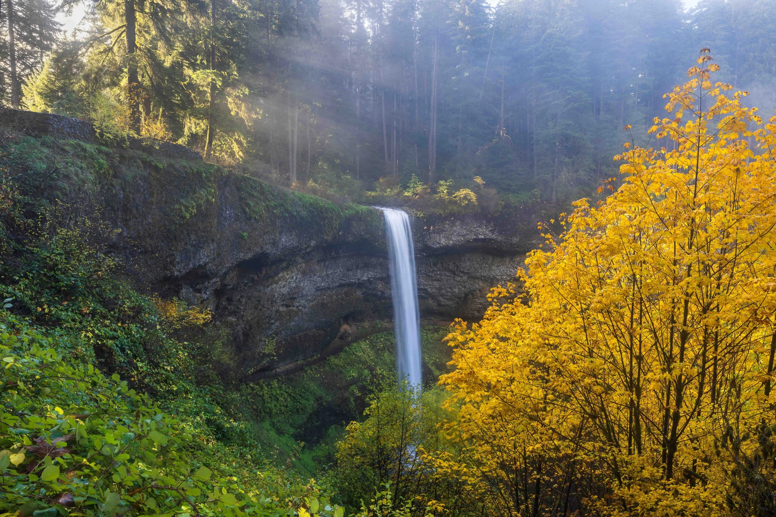 Silver falls 2web.jpeg