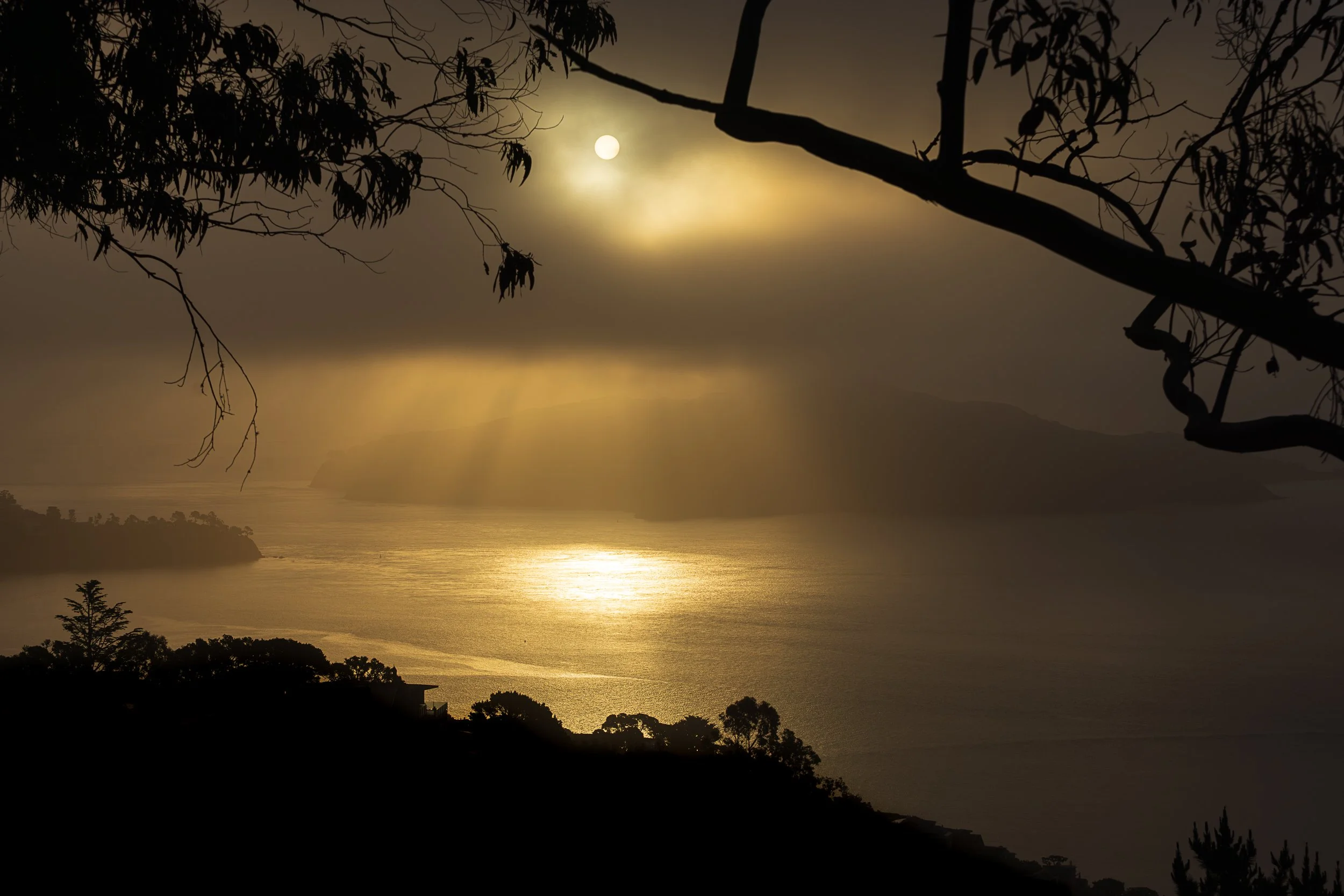 angel island.jpg
