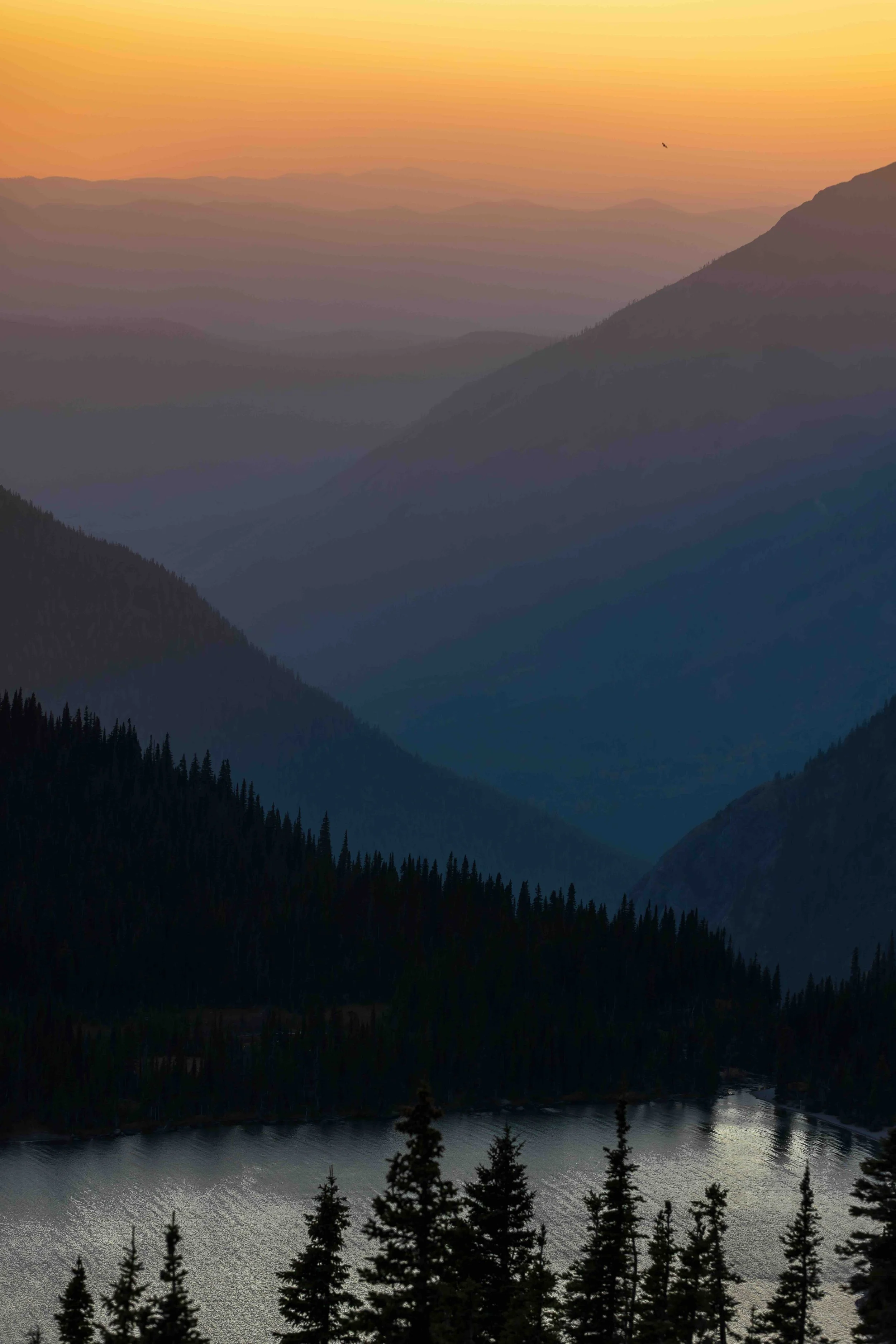 Hidden Lake Glacierweb.jpeg