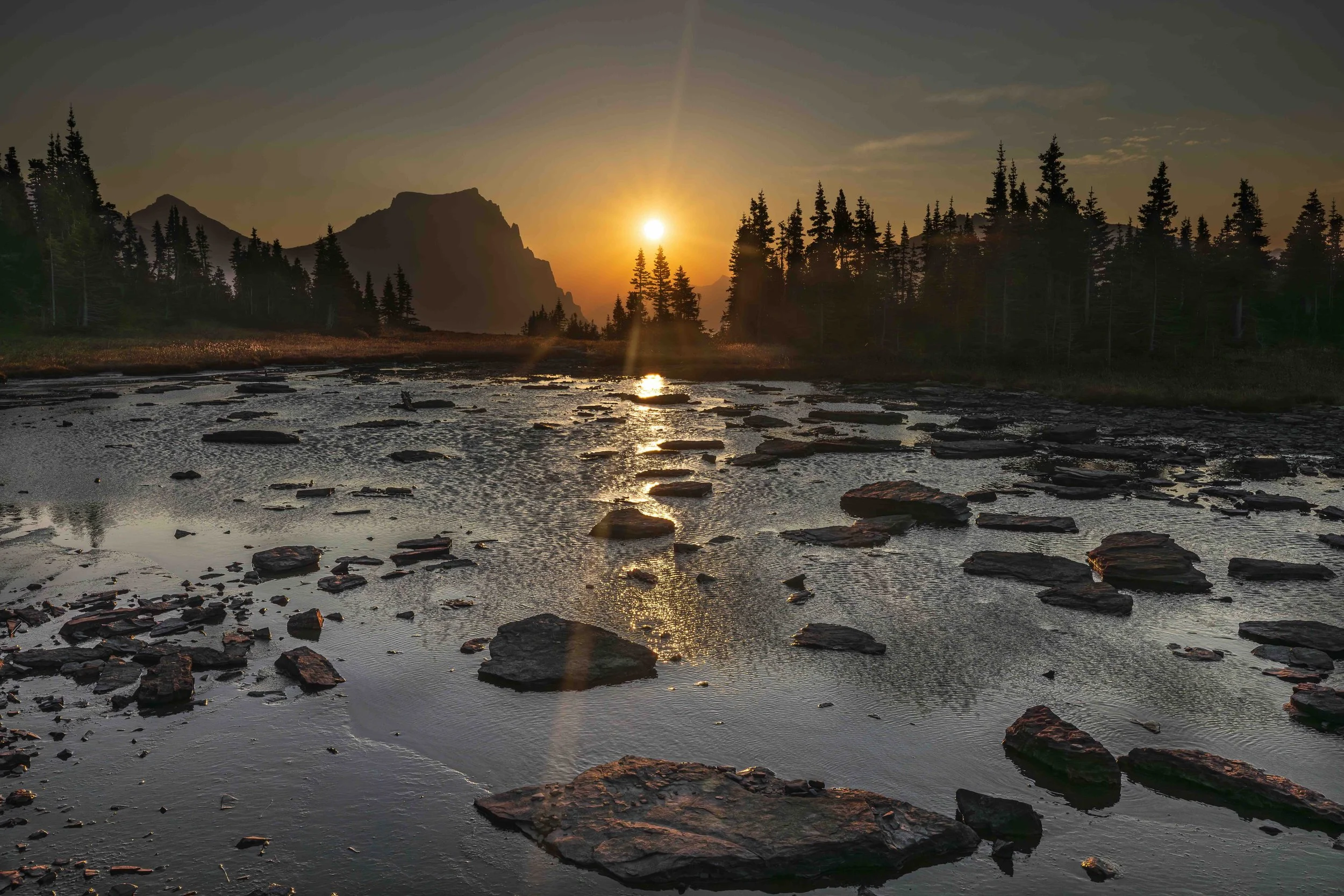 Logan Pass Am3web.jpeg