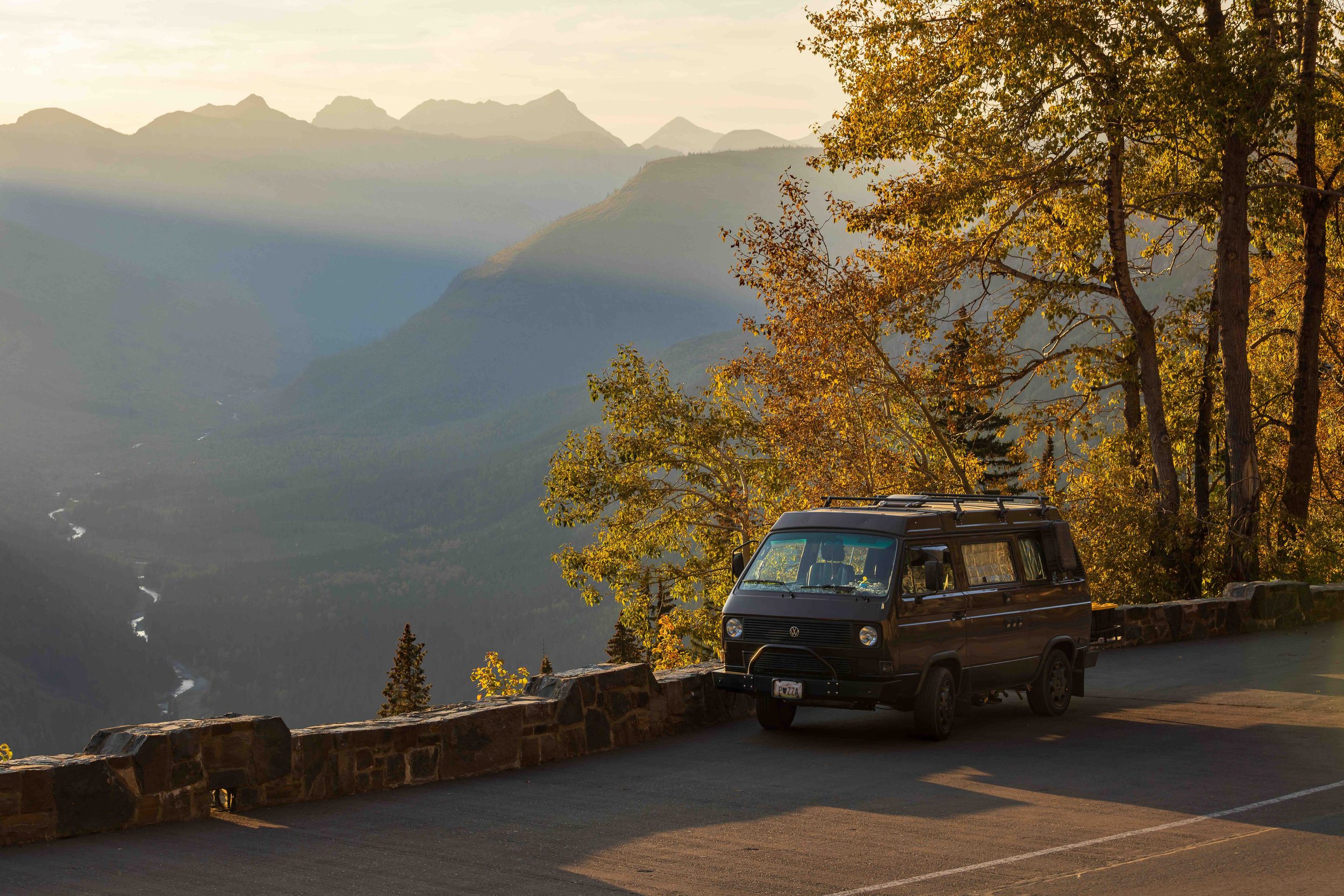 Bison Glacierweb.jpeg