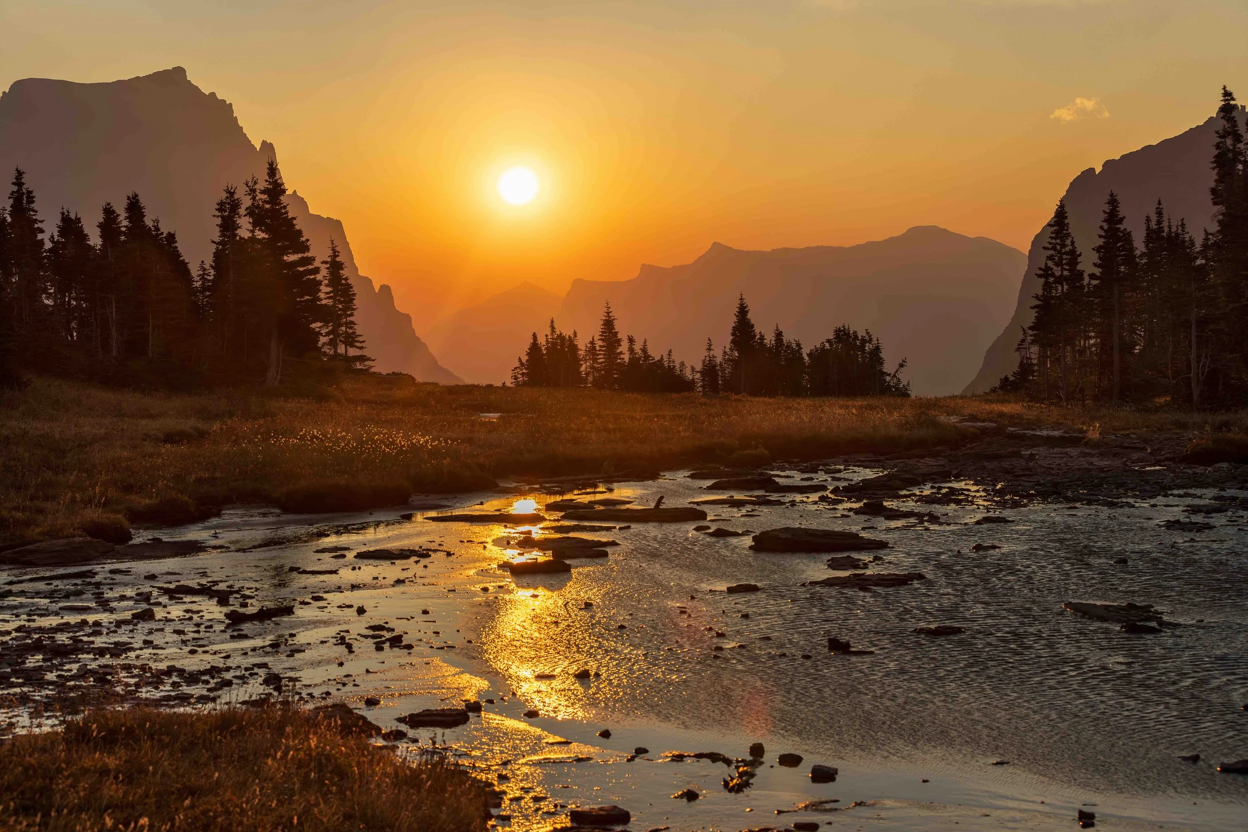 Logan Pass Am2wewb.jpeg