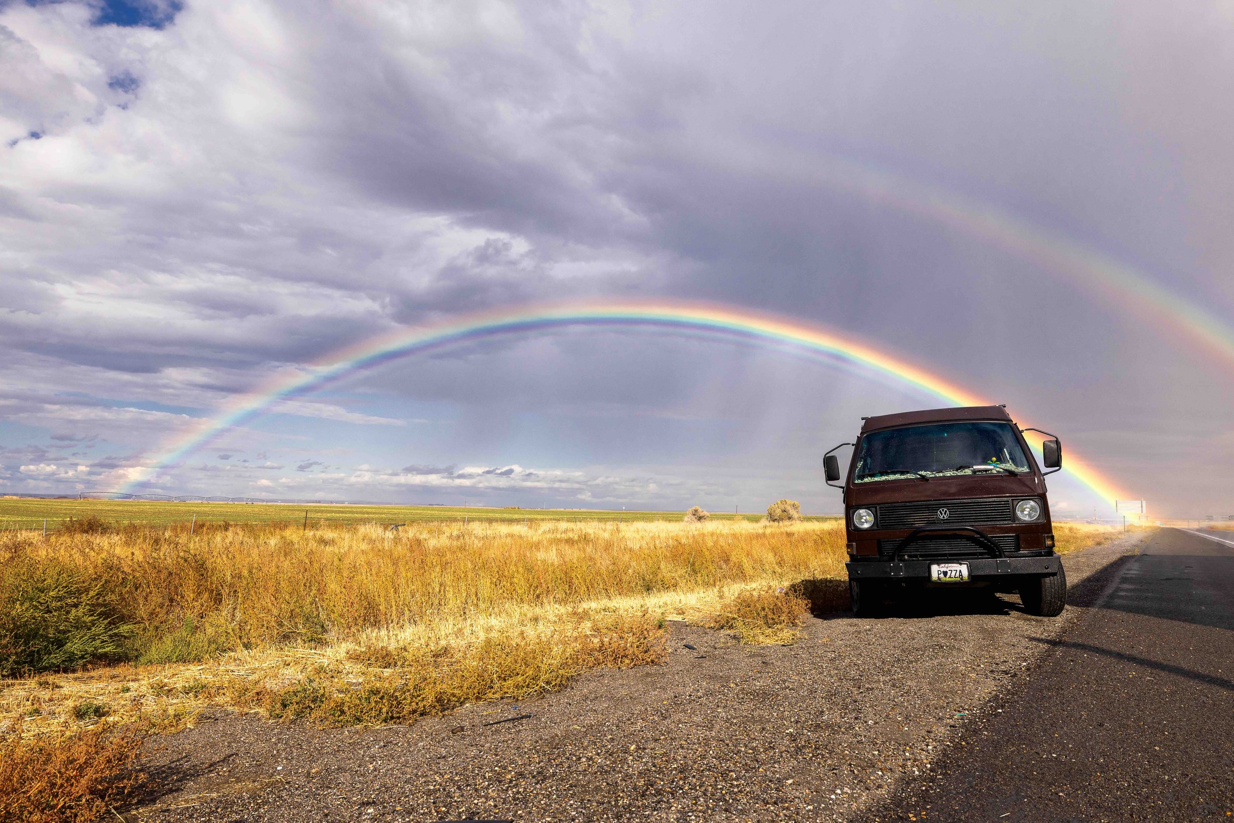 Bison Rainbowweb.jpeg