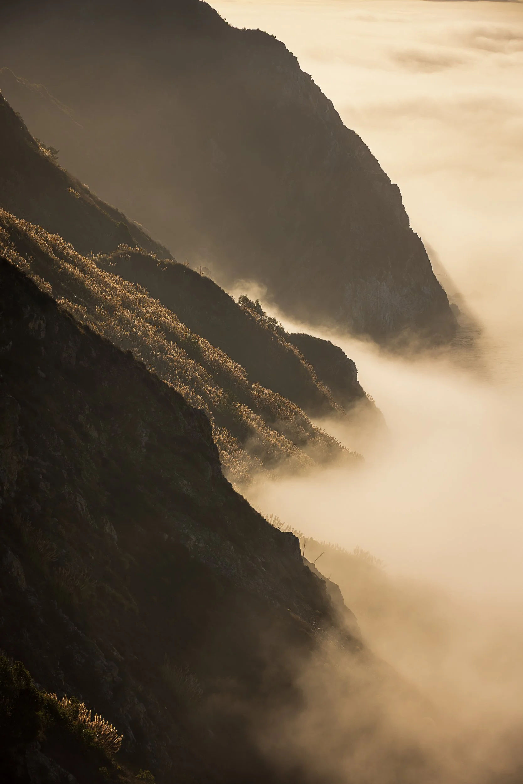Big Sur Vert.jpg