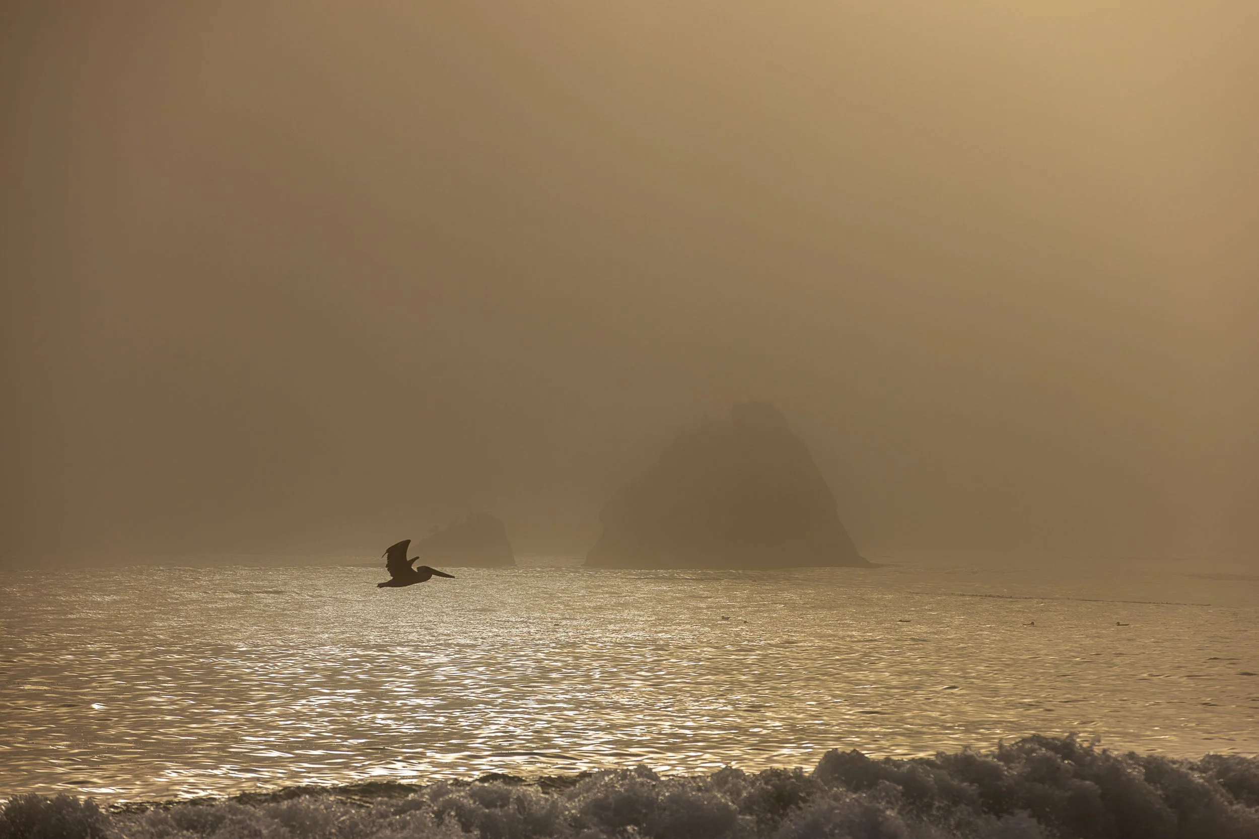 Limekiln pelican.jpg