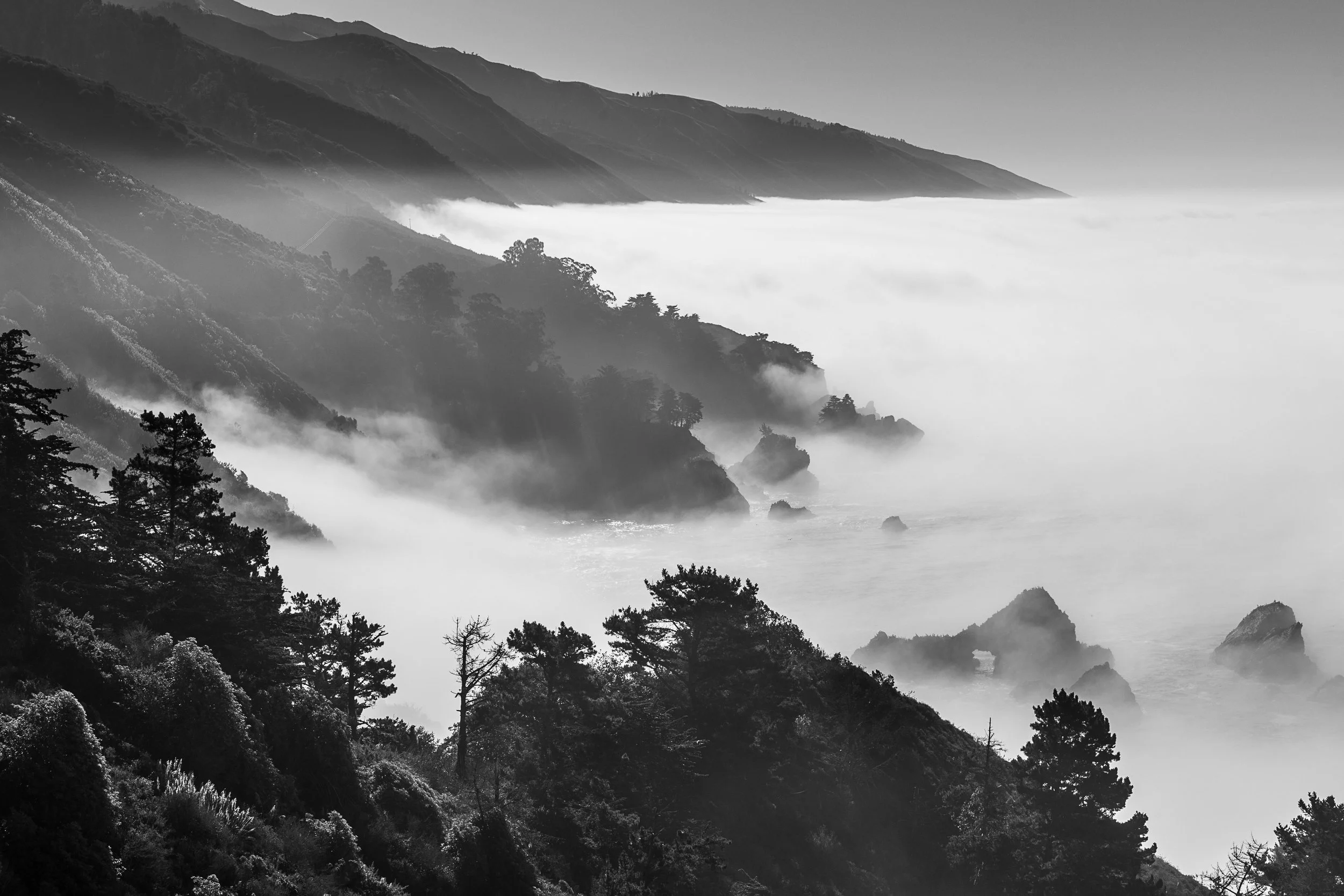 Big Sur bw.jpg