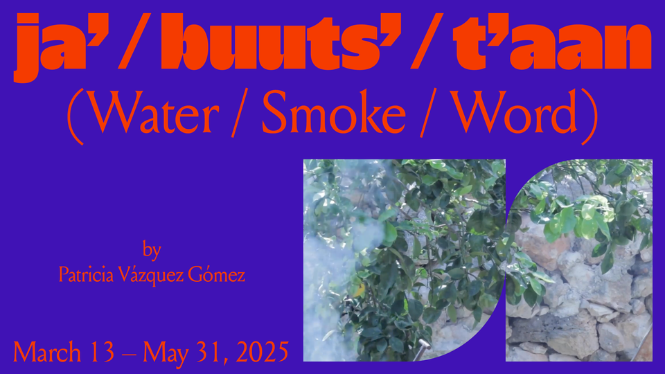 ja’ / buuts’ / t’aan (Water / Smoke / Word)