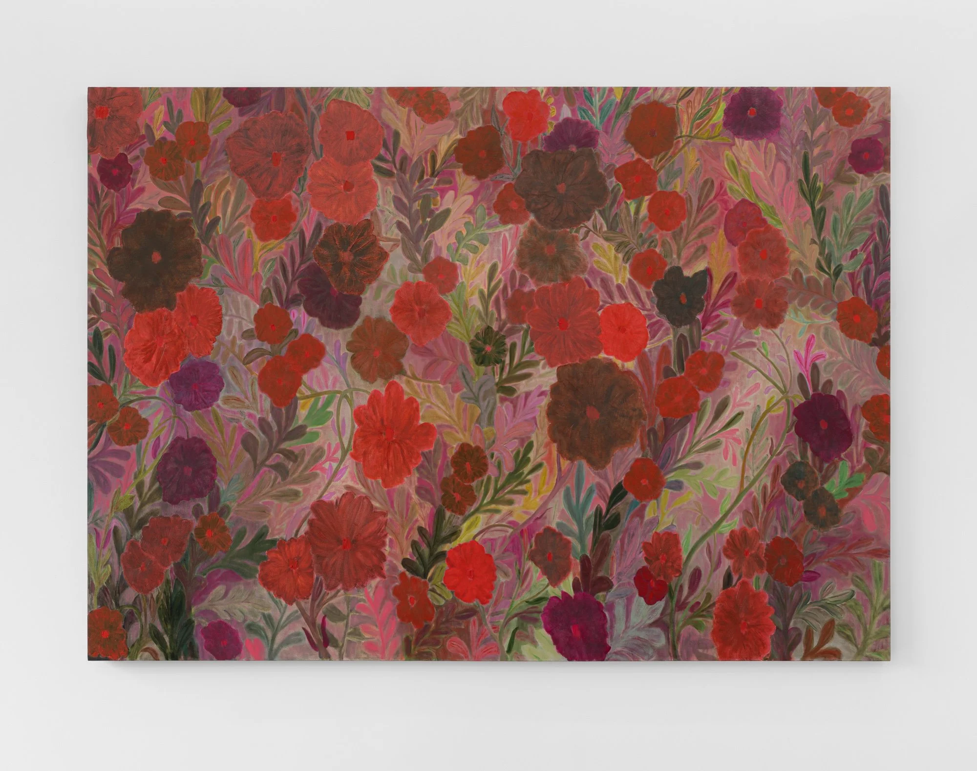 Amy Bay: oh deeear mee