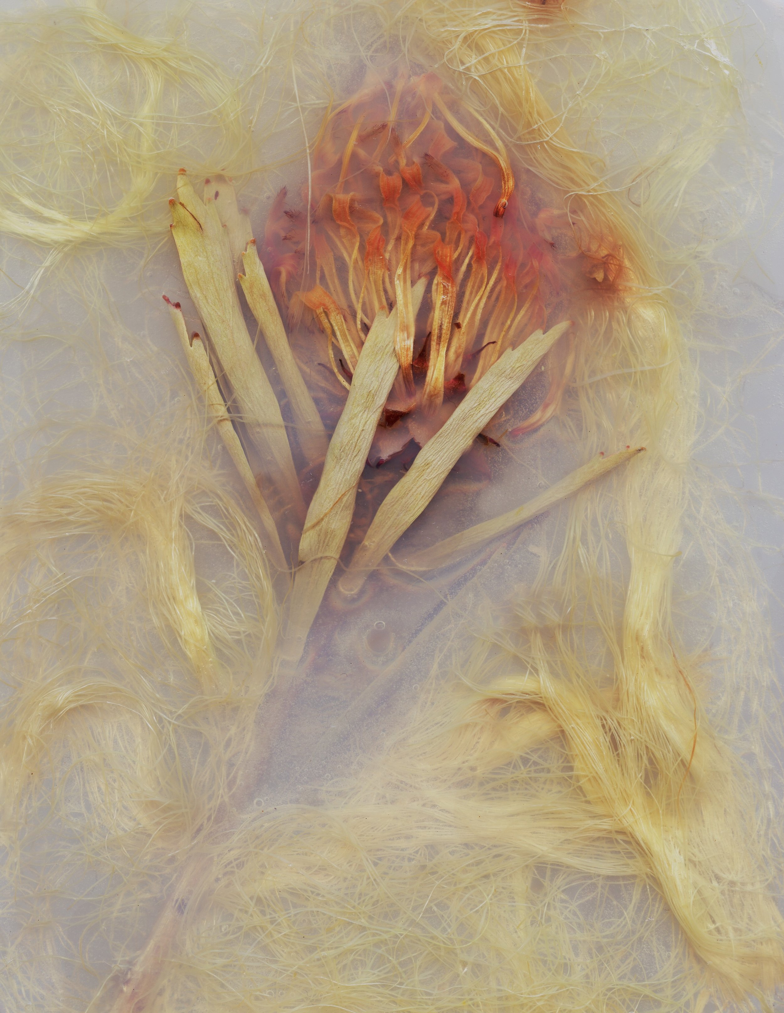 Meech Boakye, how simple, 2024, Photograph, 24 x 17 in | Photo Credit: Meech Boakye