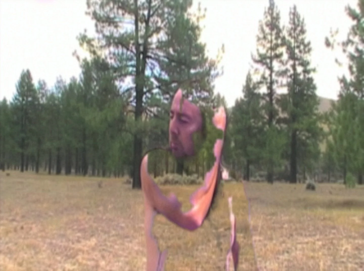 Gerald Clarke, Vanishing (still), 2013. Courtesy of the artist.