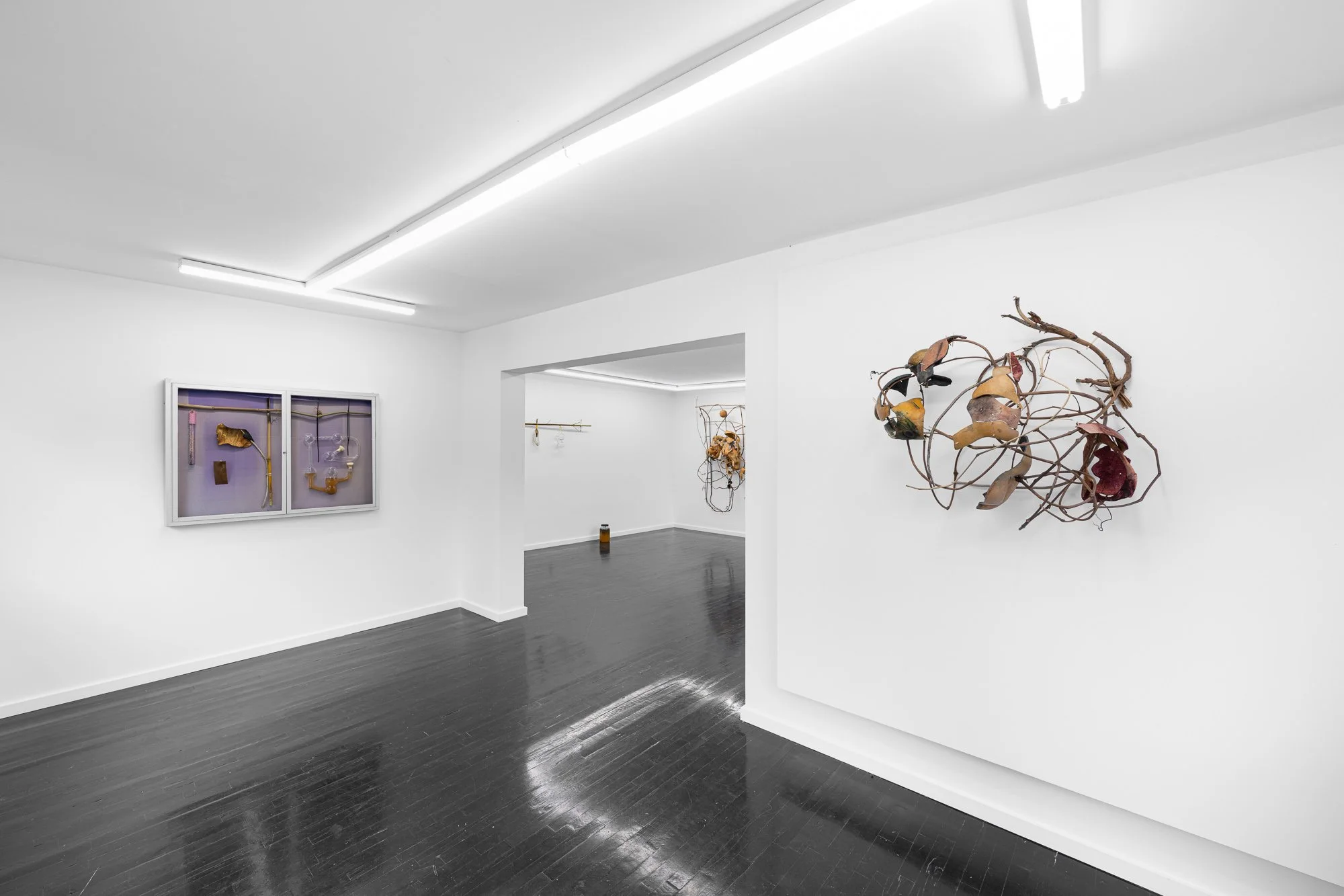 C45-SE-Cooper-Rhee-DZ2_6685-Edit-web.jpg
