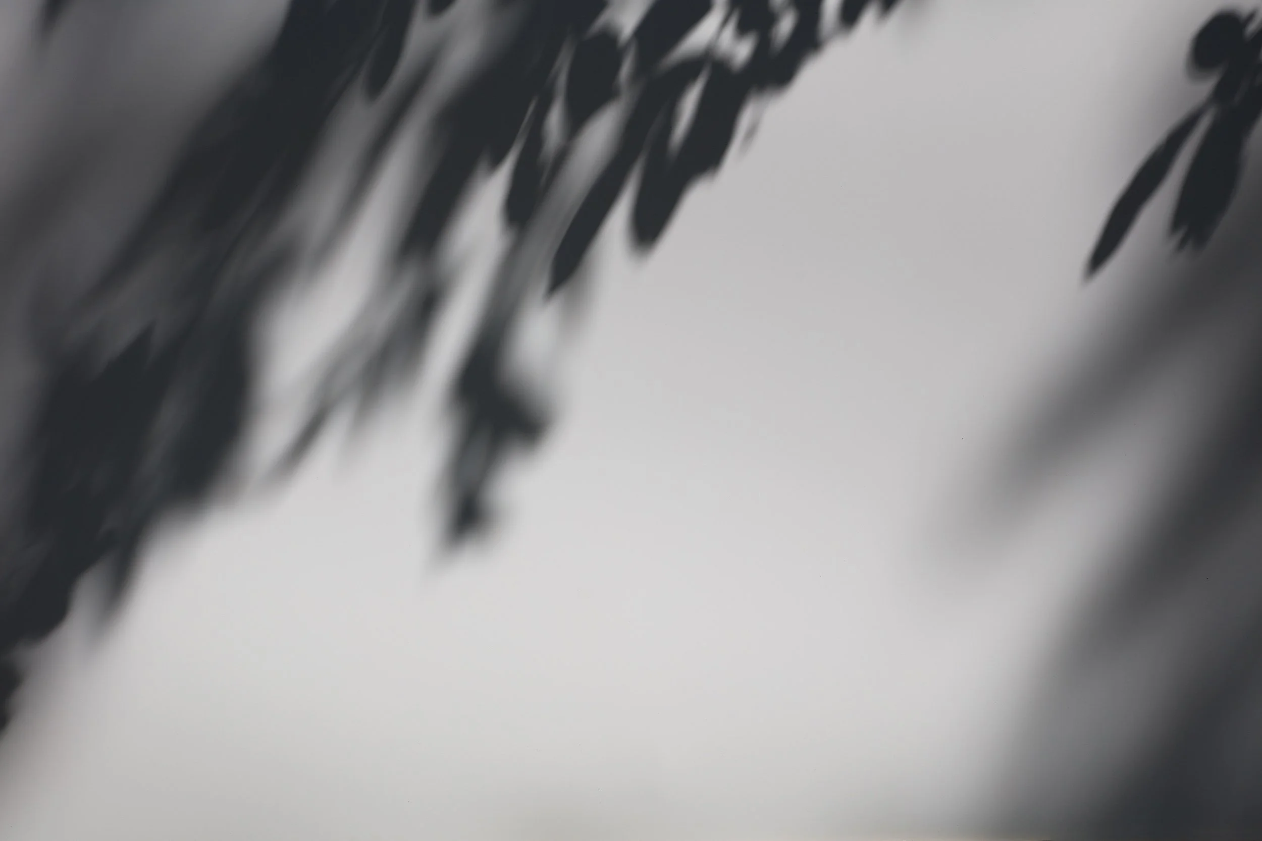 Photography of the independent shadow by AZ.