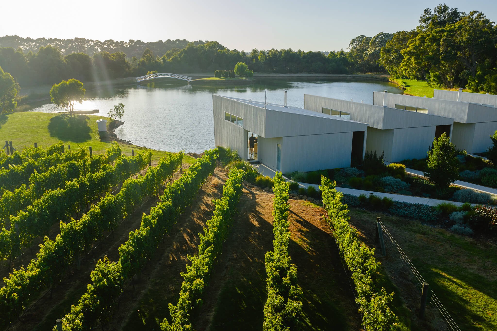 Modern white luxury villas near a lake, surrounded by vineyard and greenery, with trees and a bridge in the background.
