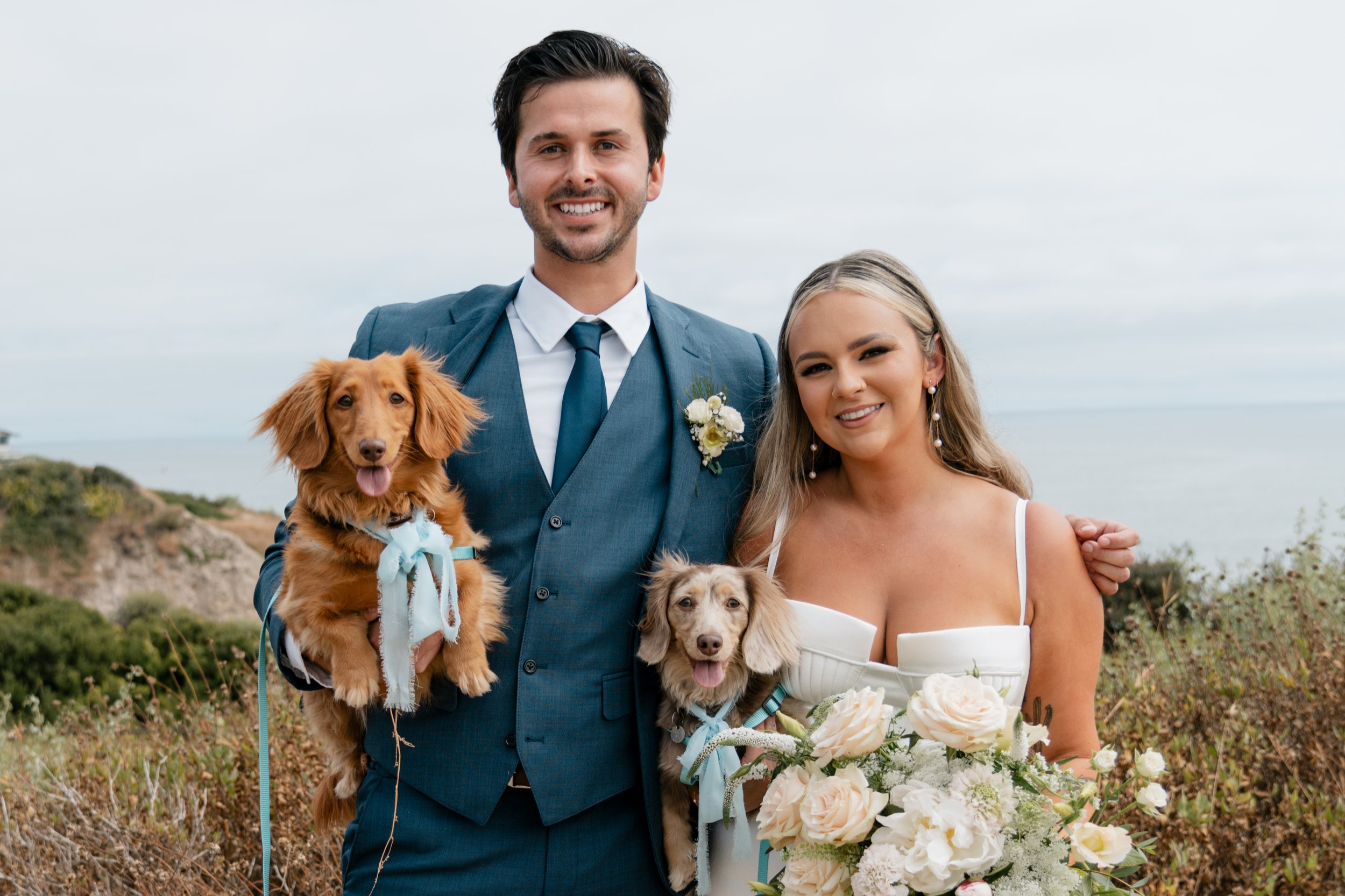A couple in wedding attire posing outdoors with two small dogs, one in each person's arms, and a bouquet of light-colored flowers, with a landscape and sky in the background.