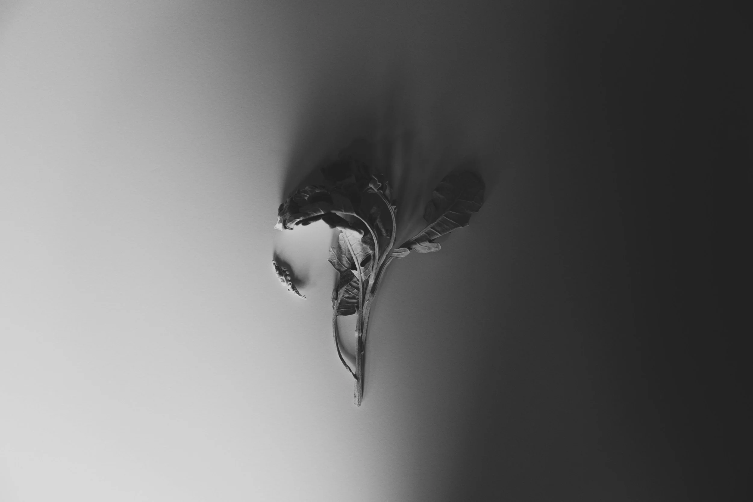 Kryptonite Part 3: Every Superhero Has One