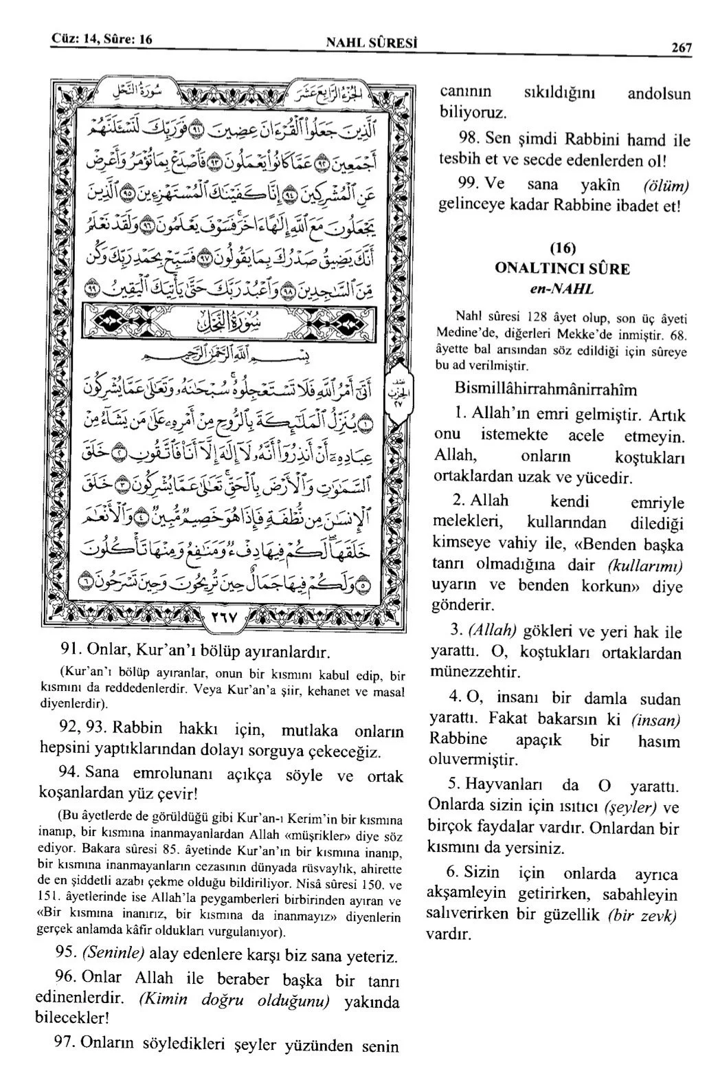 Kuran 267 .jpeg