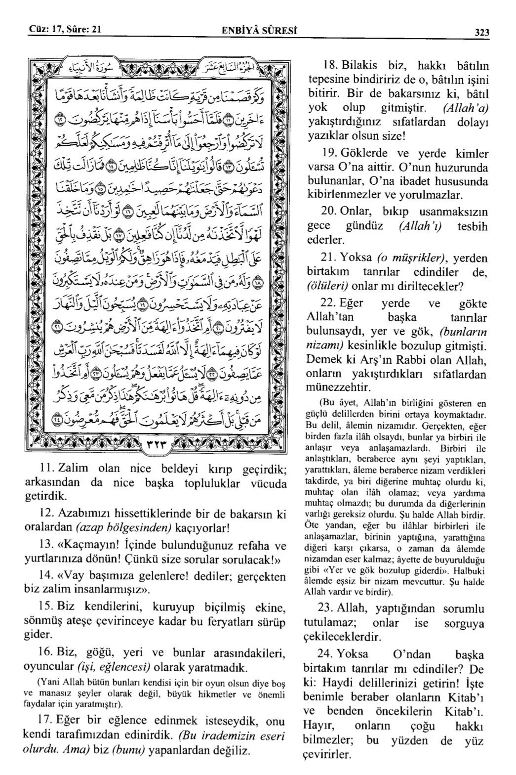 Kuran 323 .jpeg