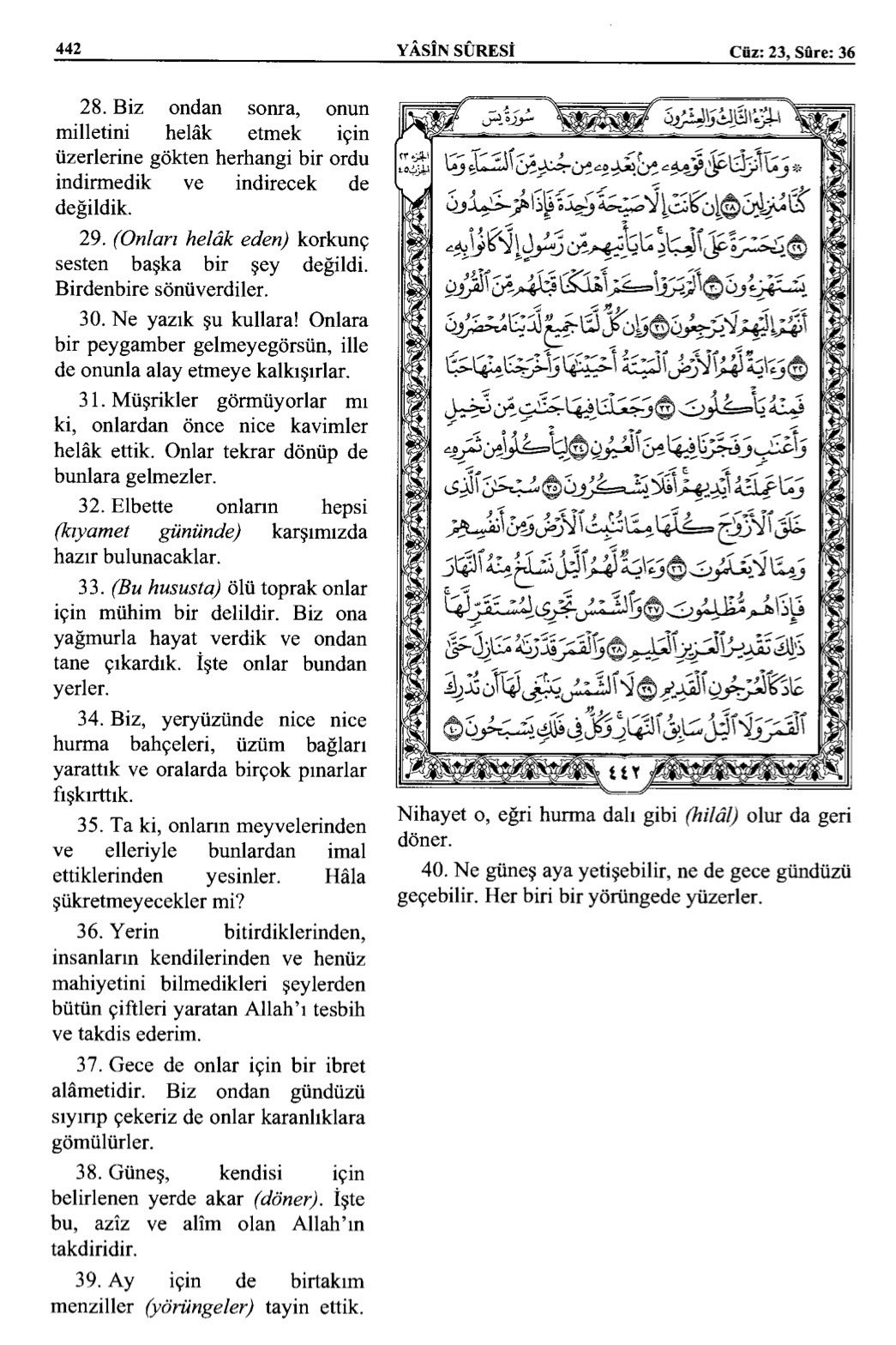 Kuran 442 .jpeg