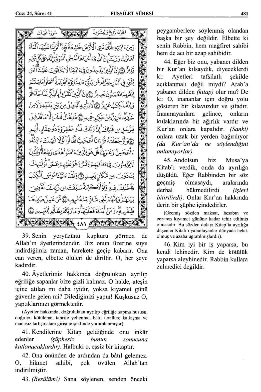 Kuran 481 .jpeg