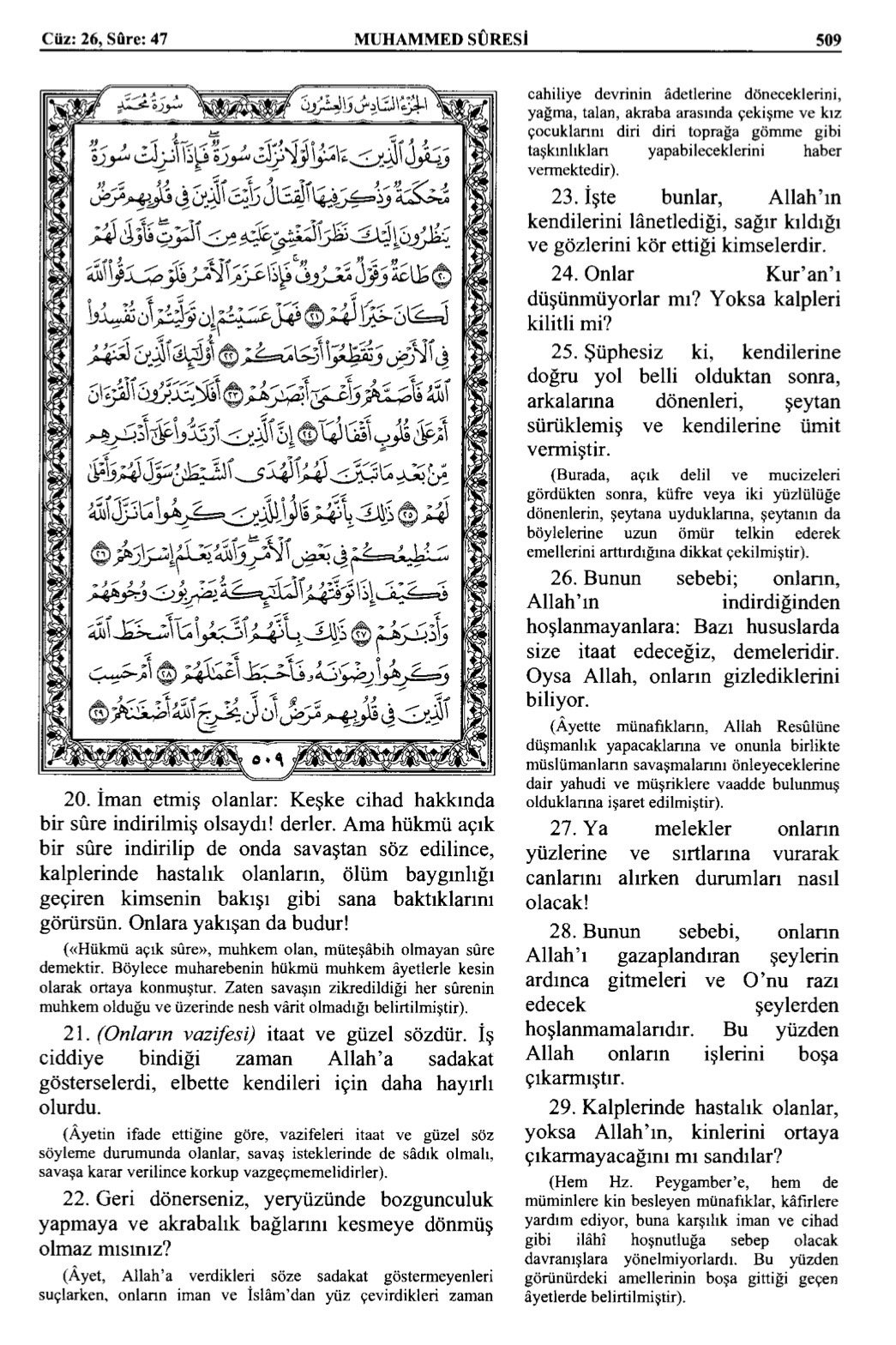 Kuran 509 .jpeg
