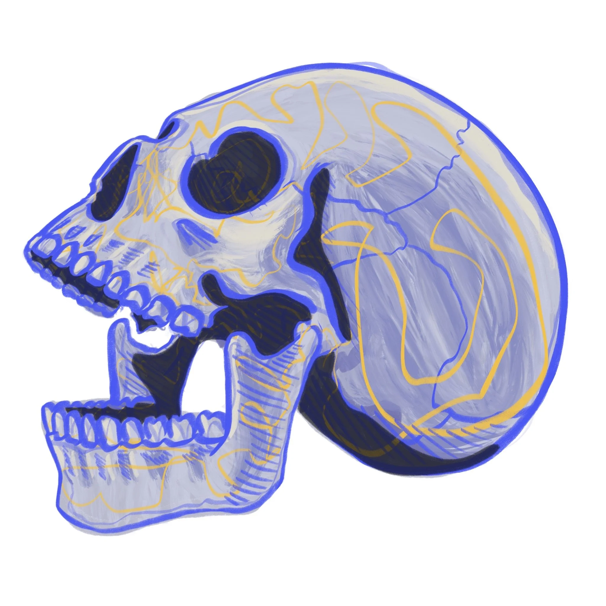 Skull