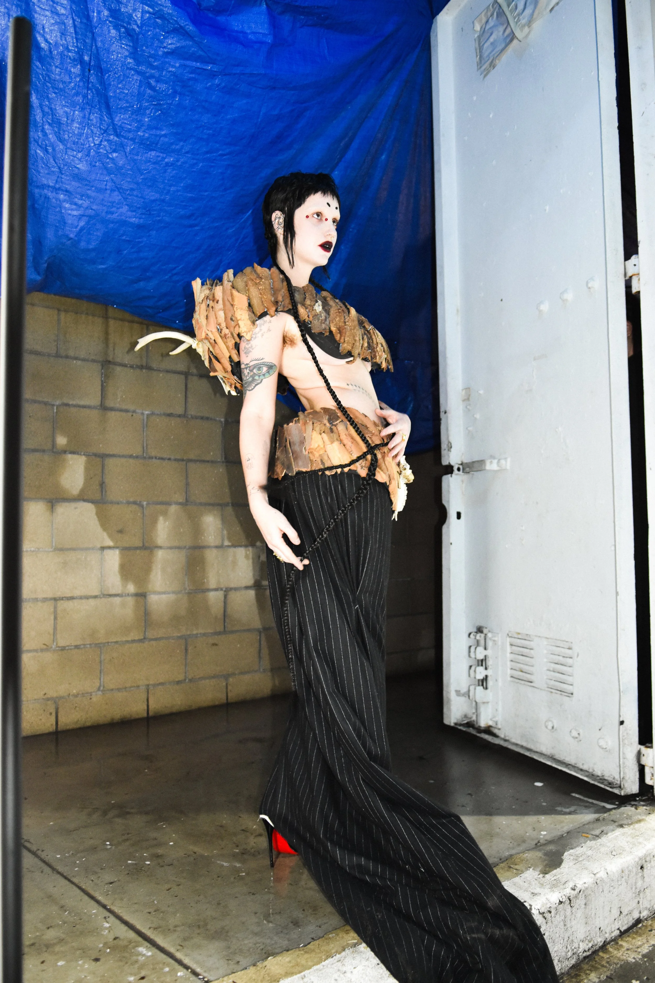 Copy of DSC_0284.JPG