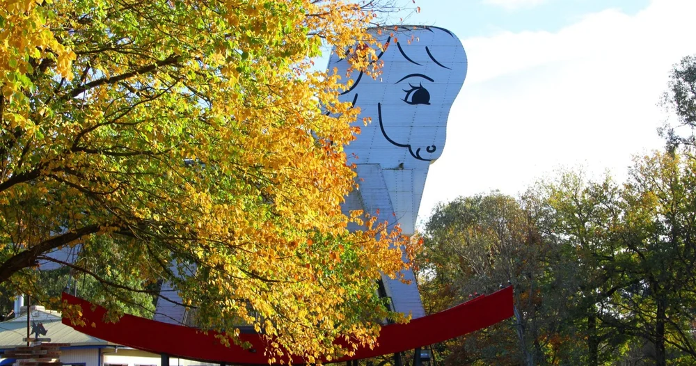 The Big Rocking Horse