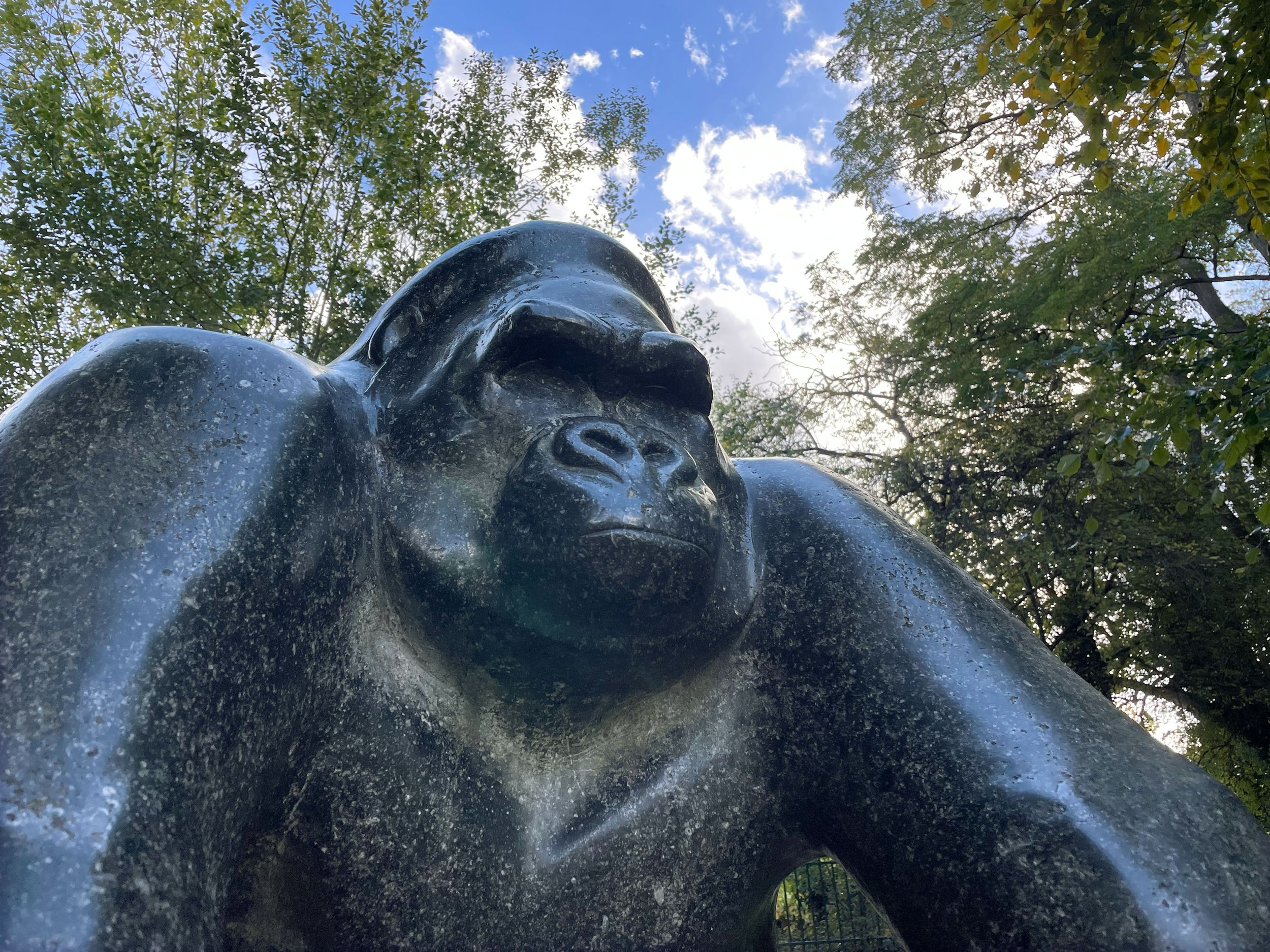 Crystal Palace Gorilla