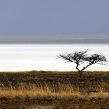 etosha pan.jpg