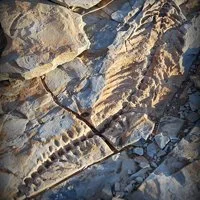 deadvlei youth adventure program travel for teens summer school program