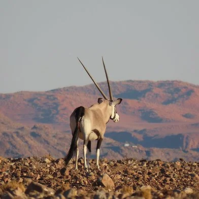 Youth Adventure Program in Namibia Summer Holiday for Teens Victoria Falls From above