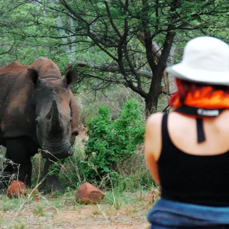 Skeleton Coast Tours ICC Cricket World Cup Luxury Tours