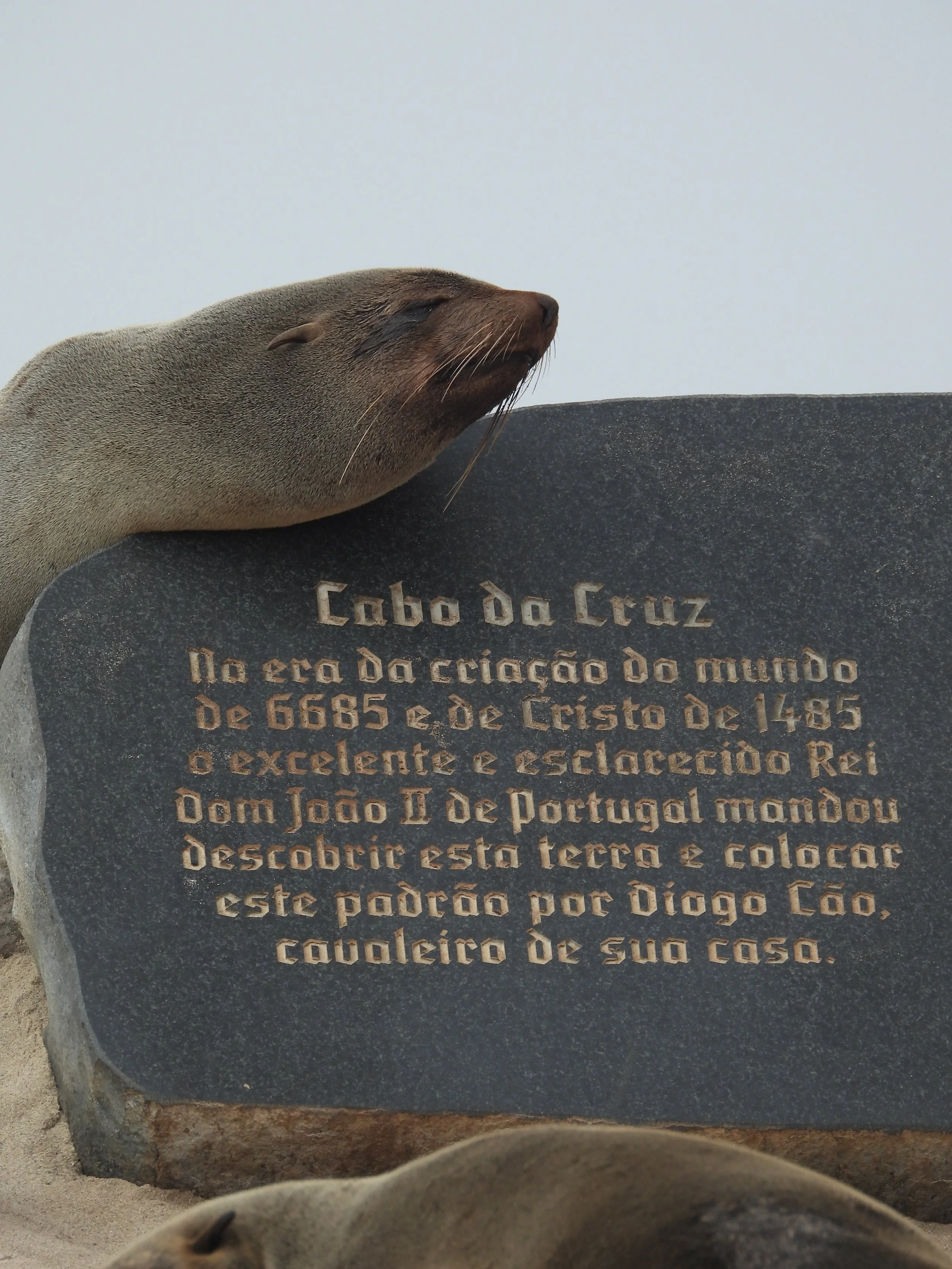 Skeleton Coast Tours ICC Cricket World Cup Luxury Tours