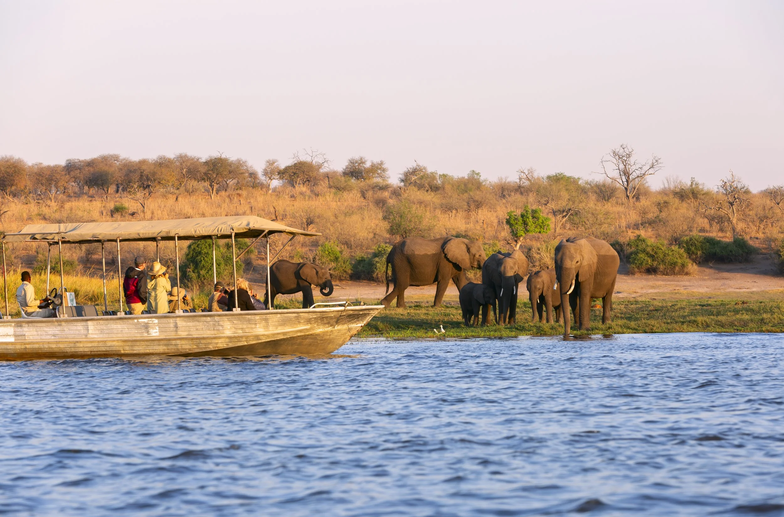 Kavango Stock.jpg