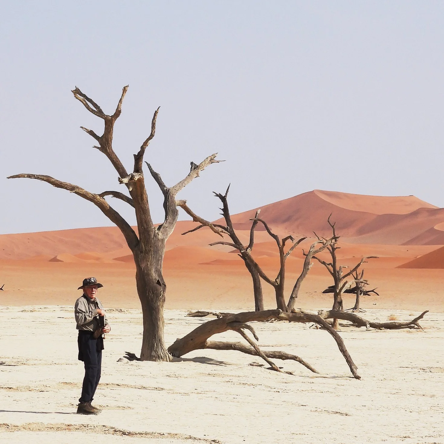 Deadvlei 2027 ICC Cricket World Cup Namibia Luxury Tour