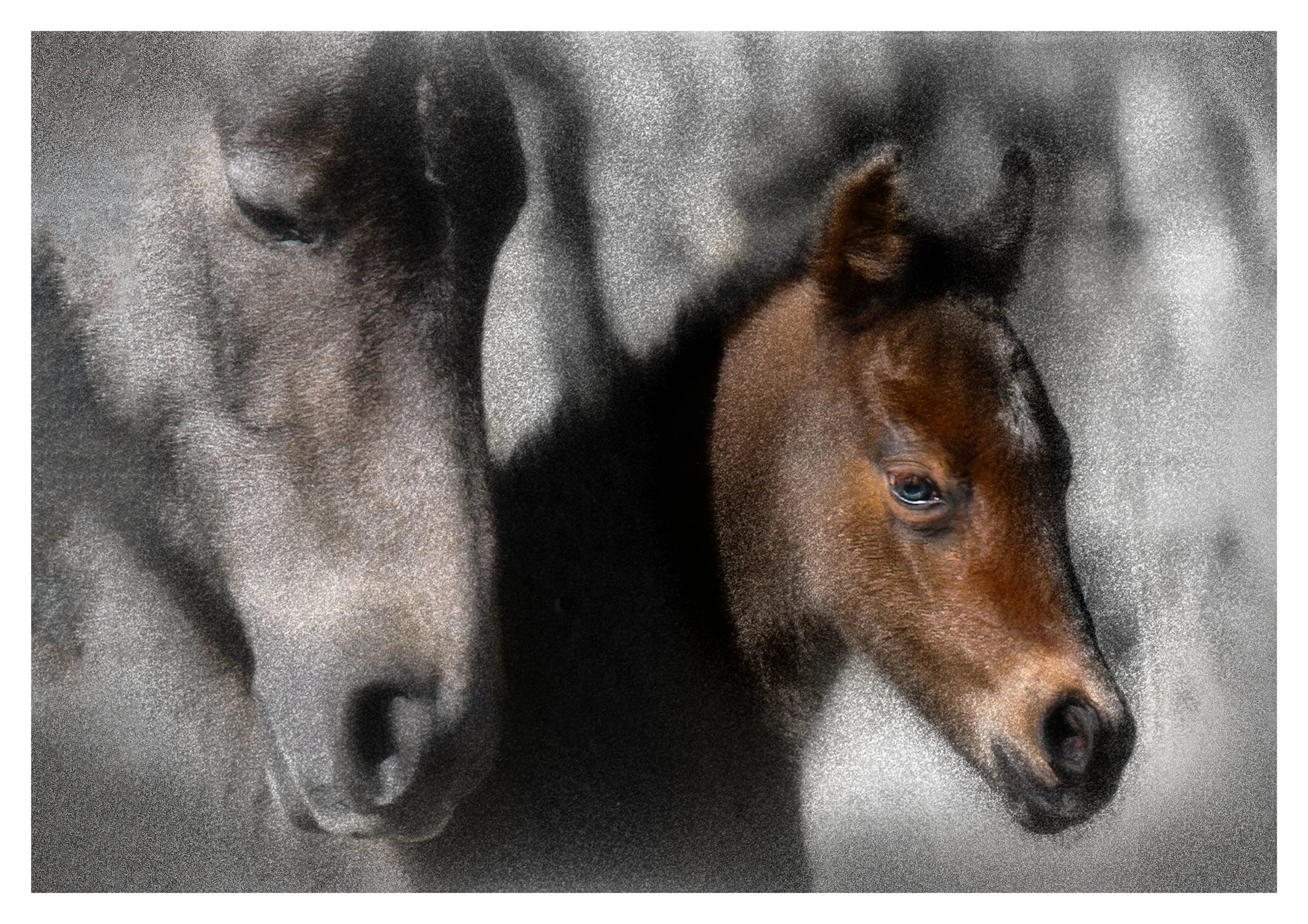 Horse Mom and Baby.jpg