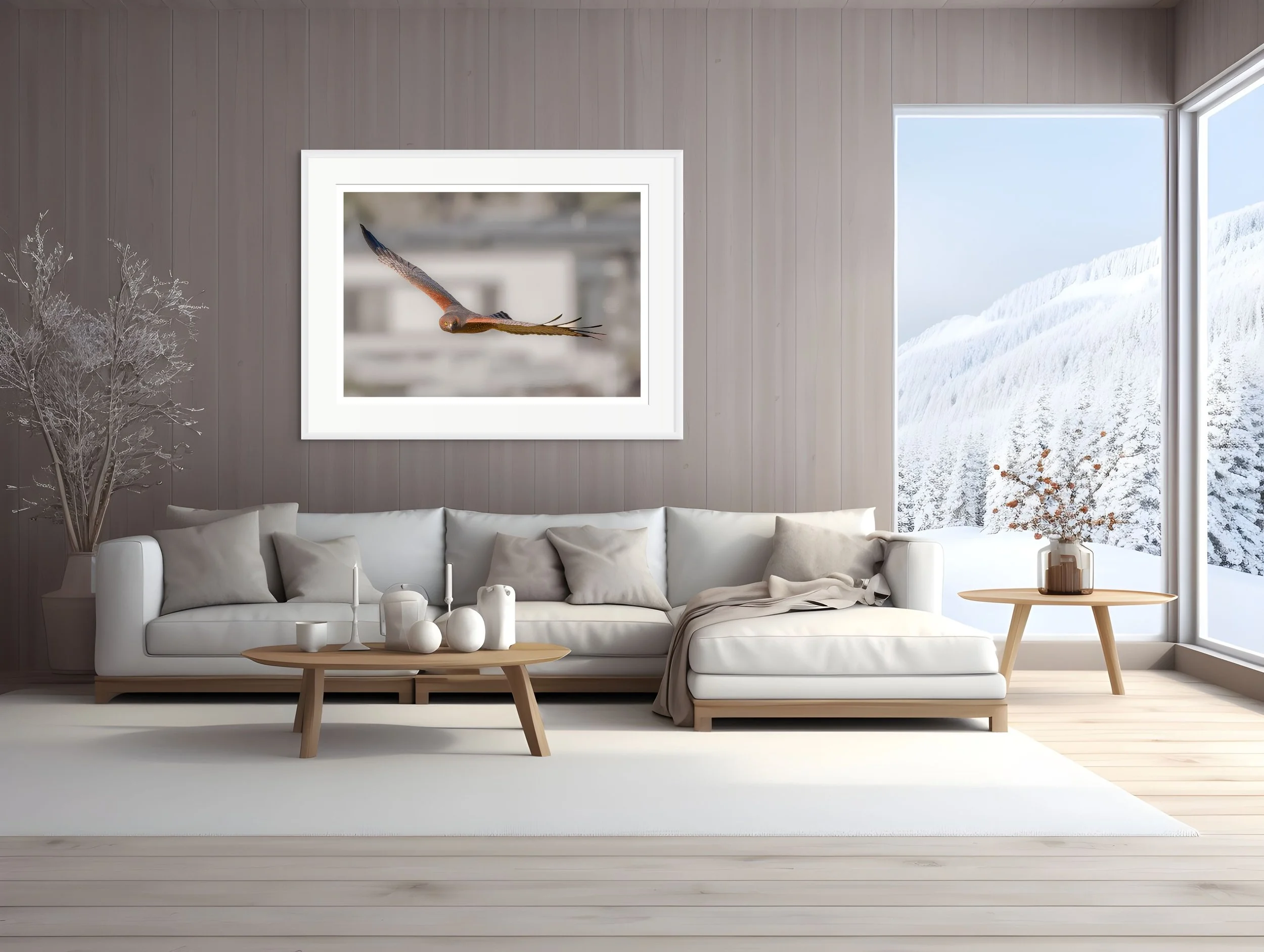 spotted harrier-3.jpg