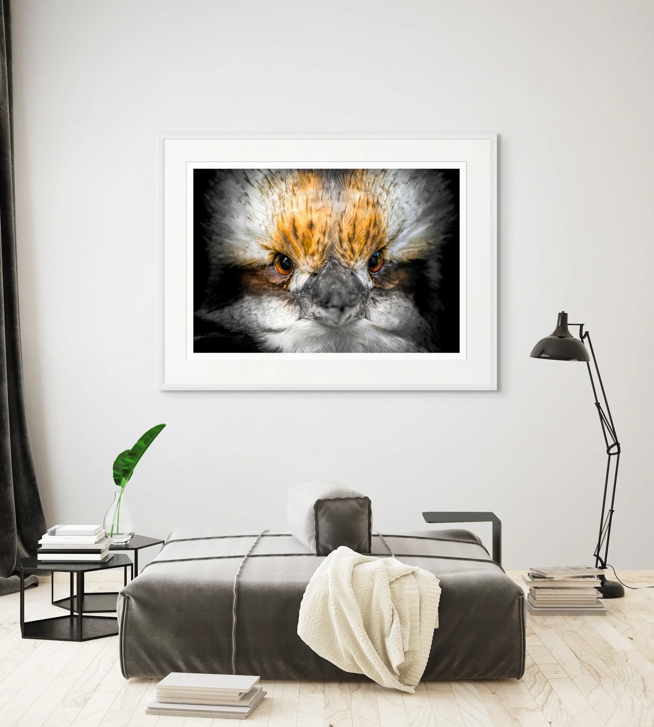 voice of the dawn-full-2.jpg