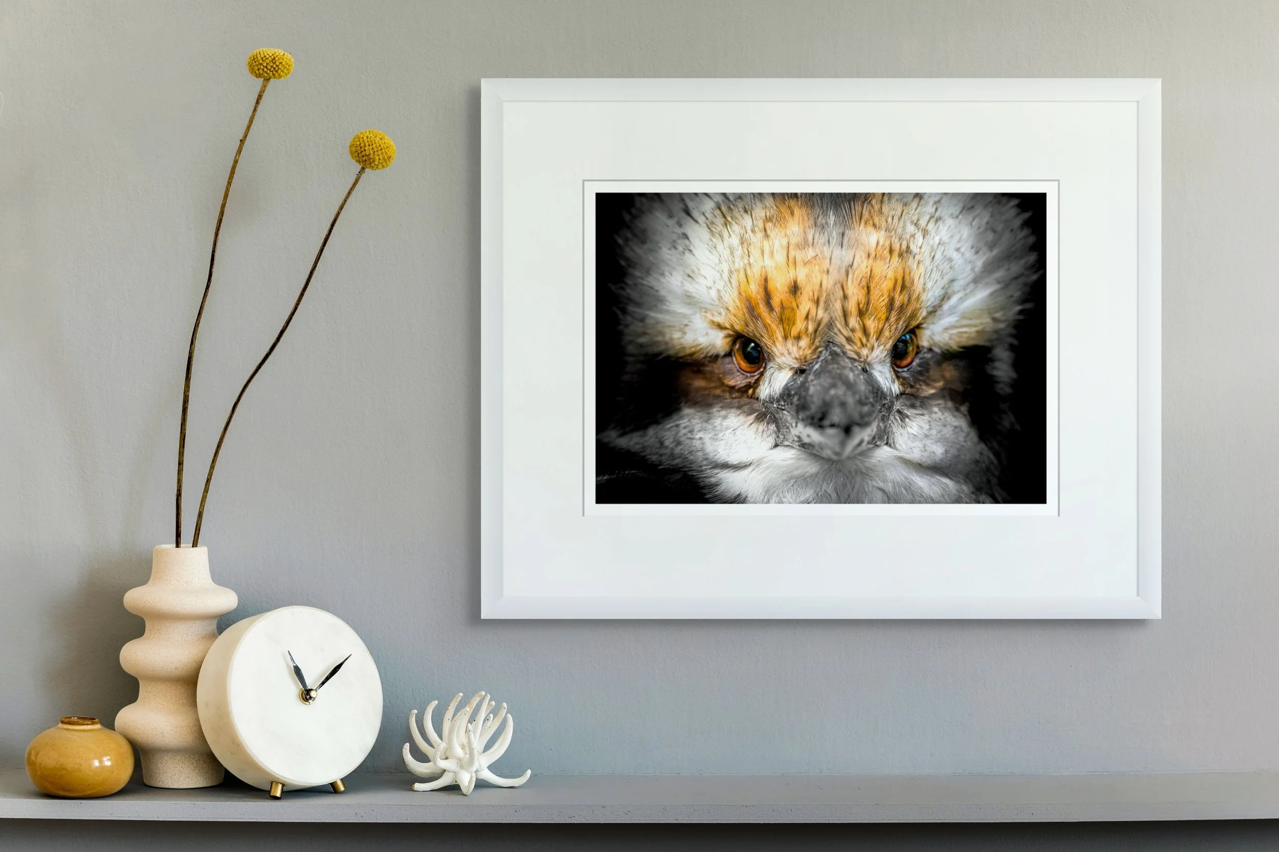 voice of the dawn-full.jpg