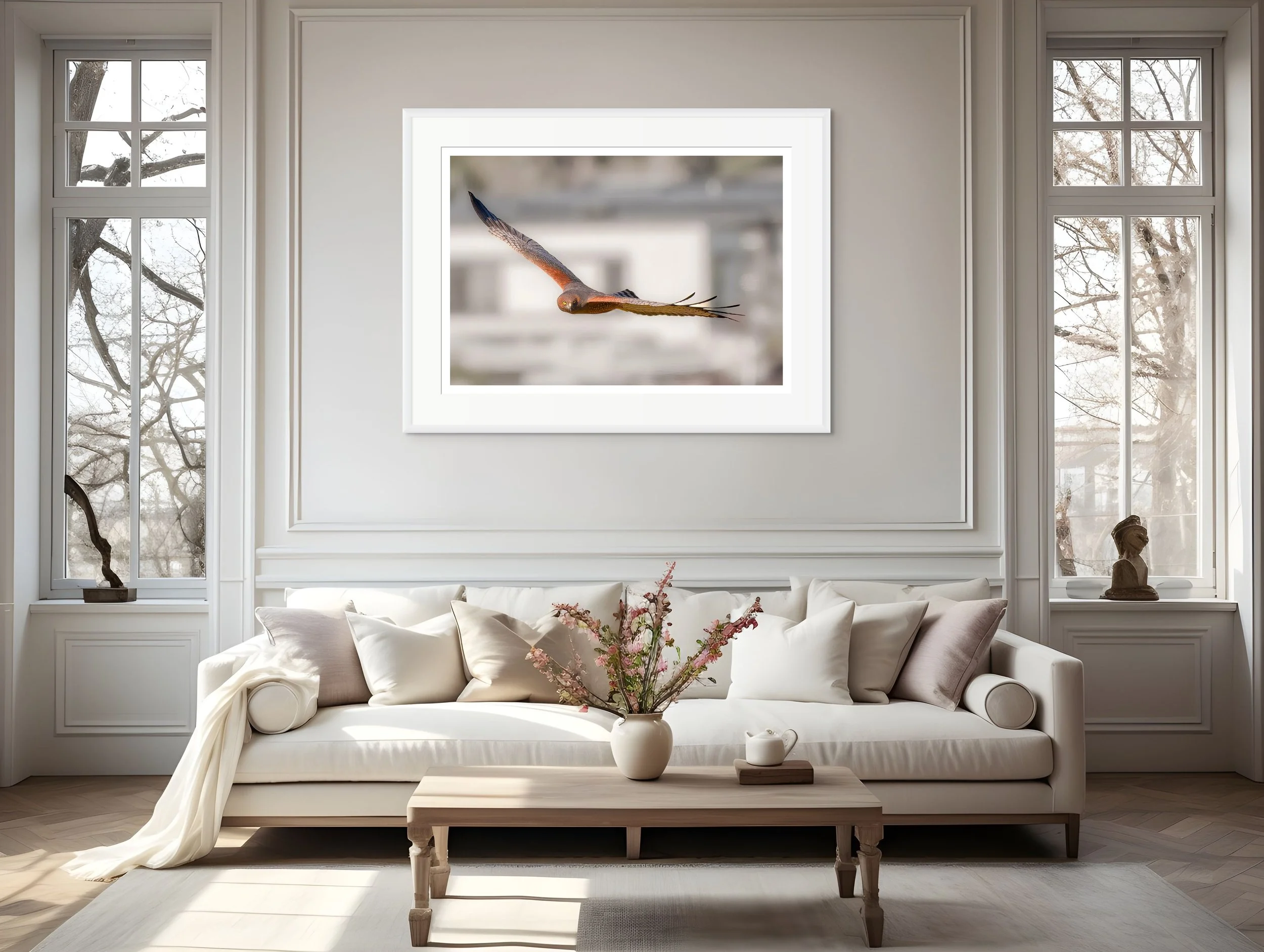 spotted harrier-2.jpg