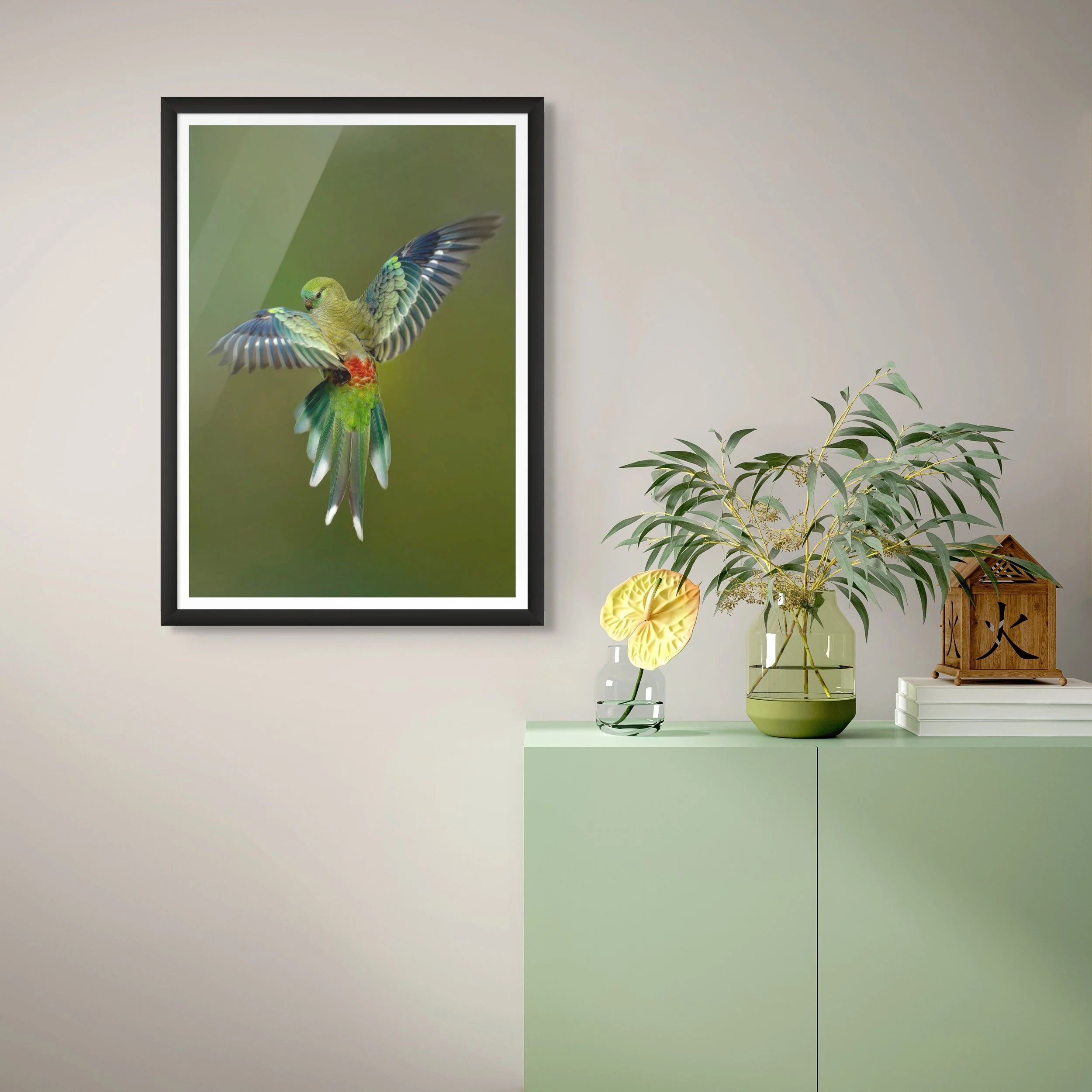redrump parrot-2.jpg
