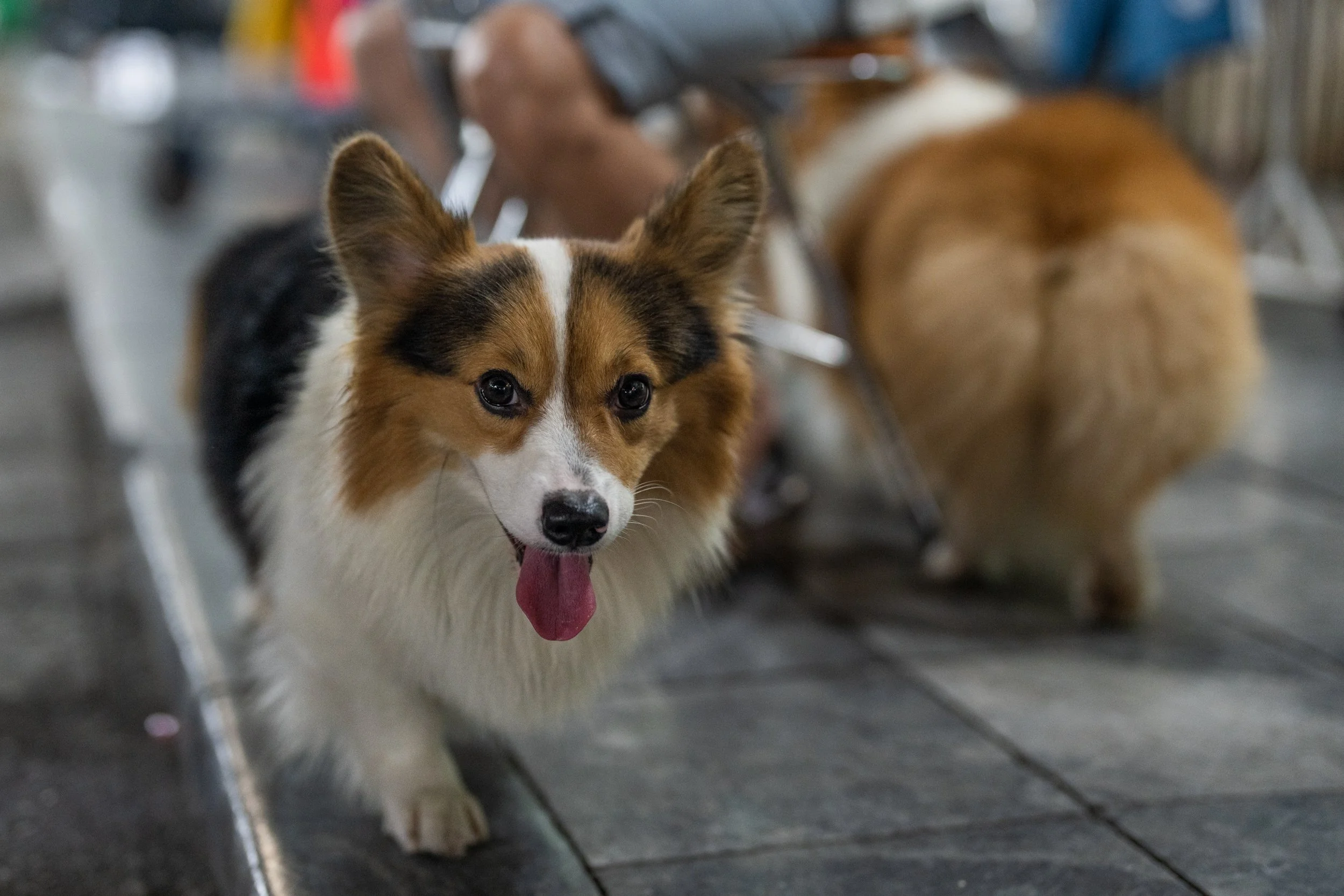 in the city.with a butt_110422_001.jpg