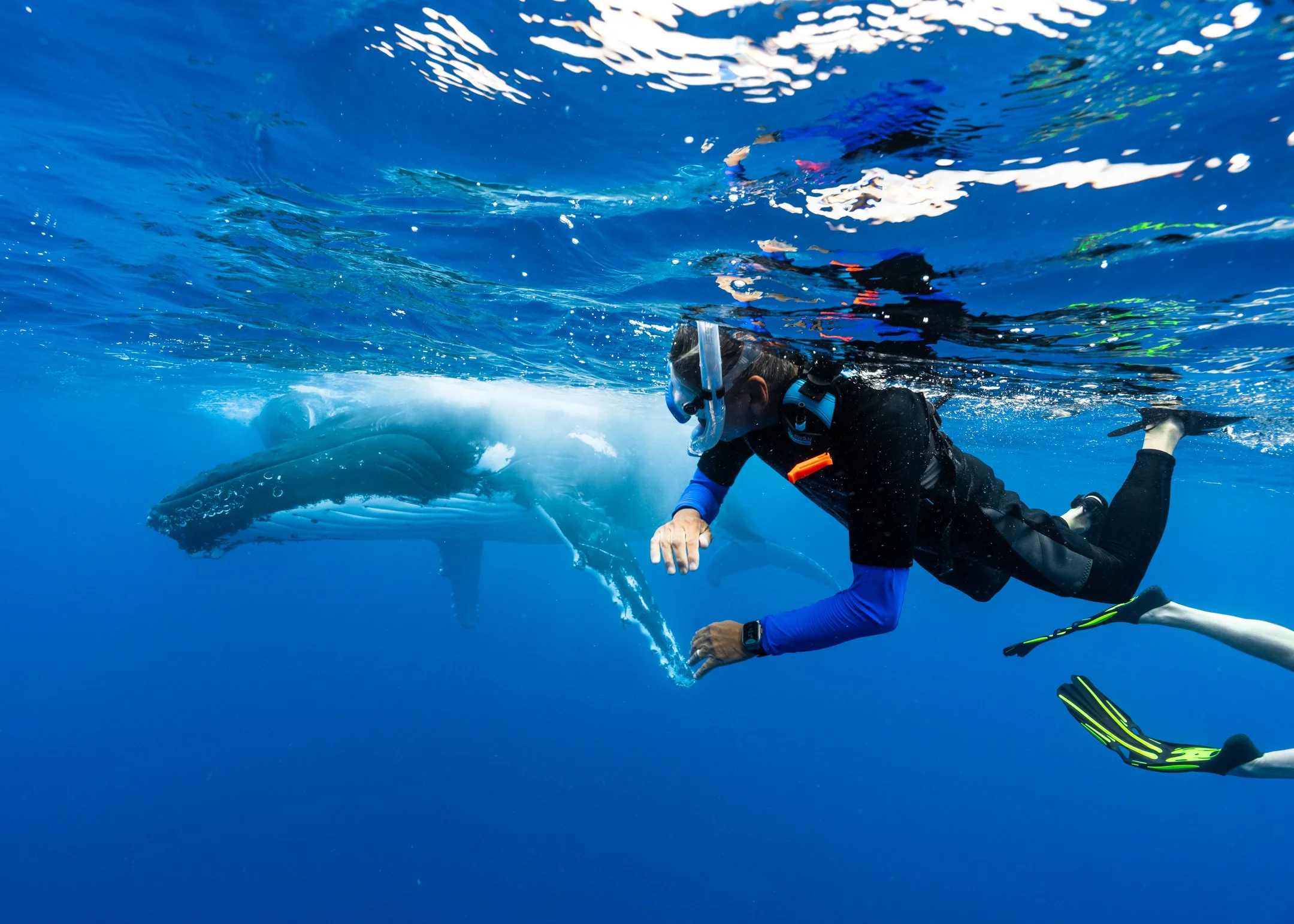 Tonga by Gabrielle Lui Photography_dad_091824_001.jpg