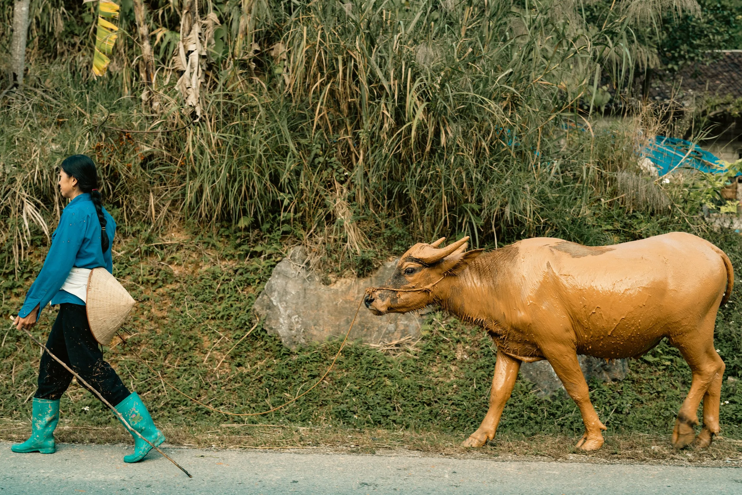 asia_111622_001.jpg