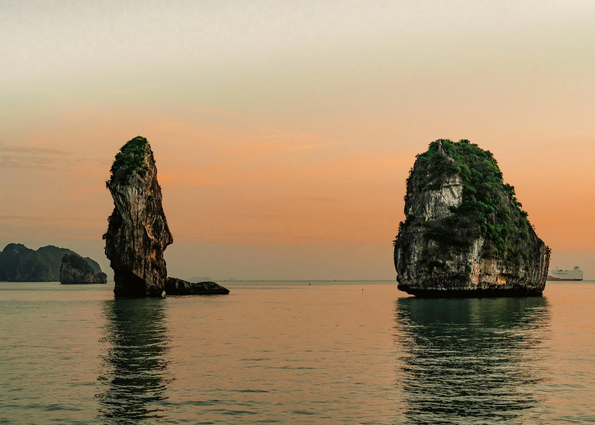 Hungry Eating Whaleshark_112022_001.jpg