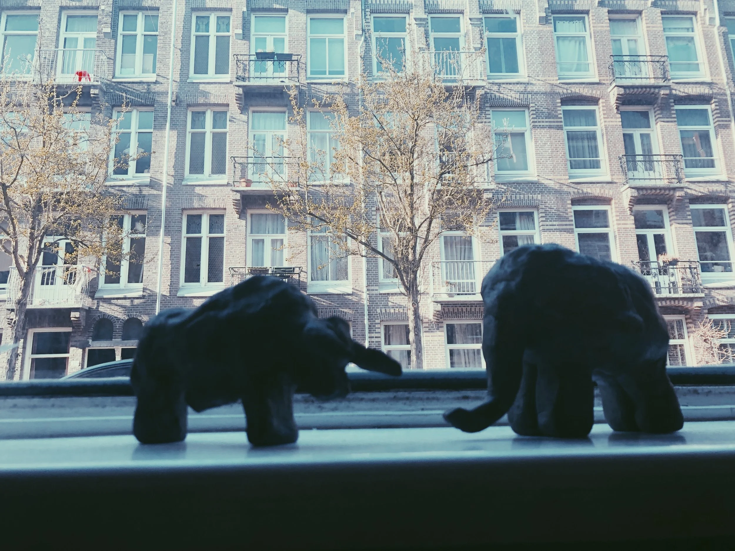 Gallery & Testimonials